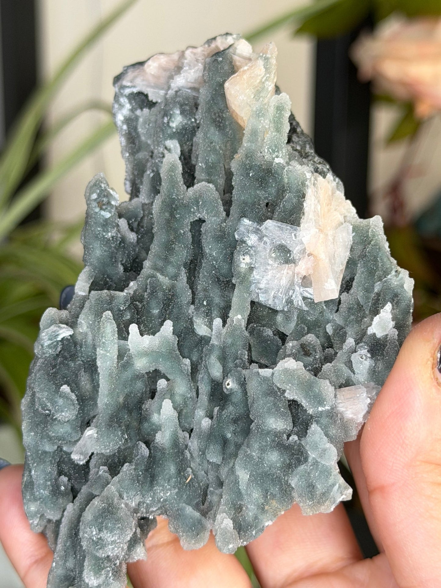 Chalcedony Apophyllite | 126g - The Crystal Valley