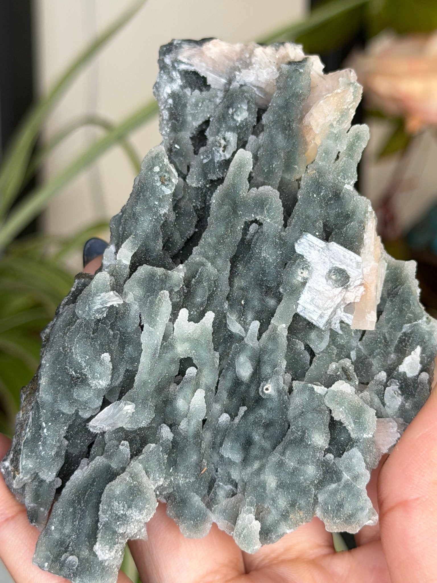 Chalcedony Apophyllite | 126g - The Crystal Valley