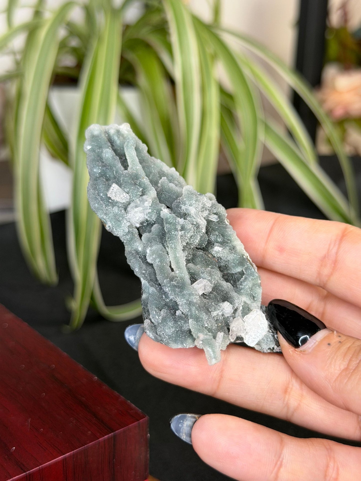 Chalcedony Apophyllite | 42g - The Crystal Valley