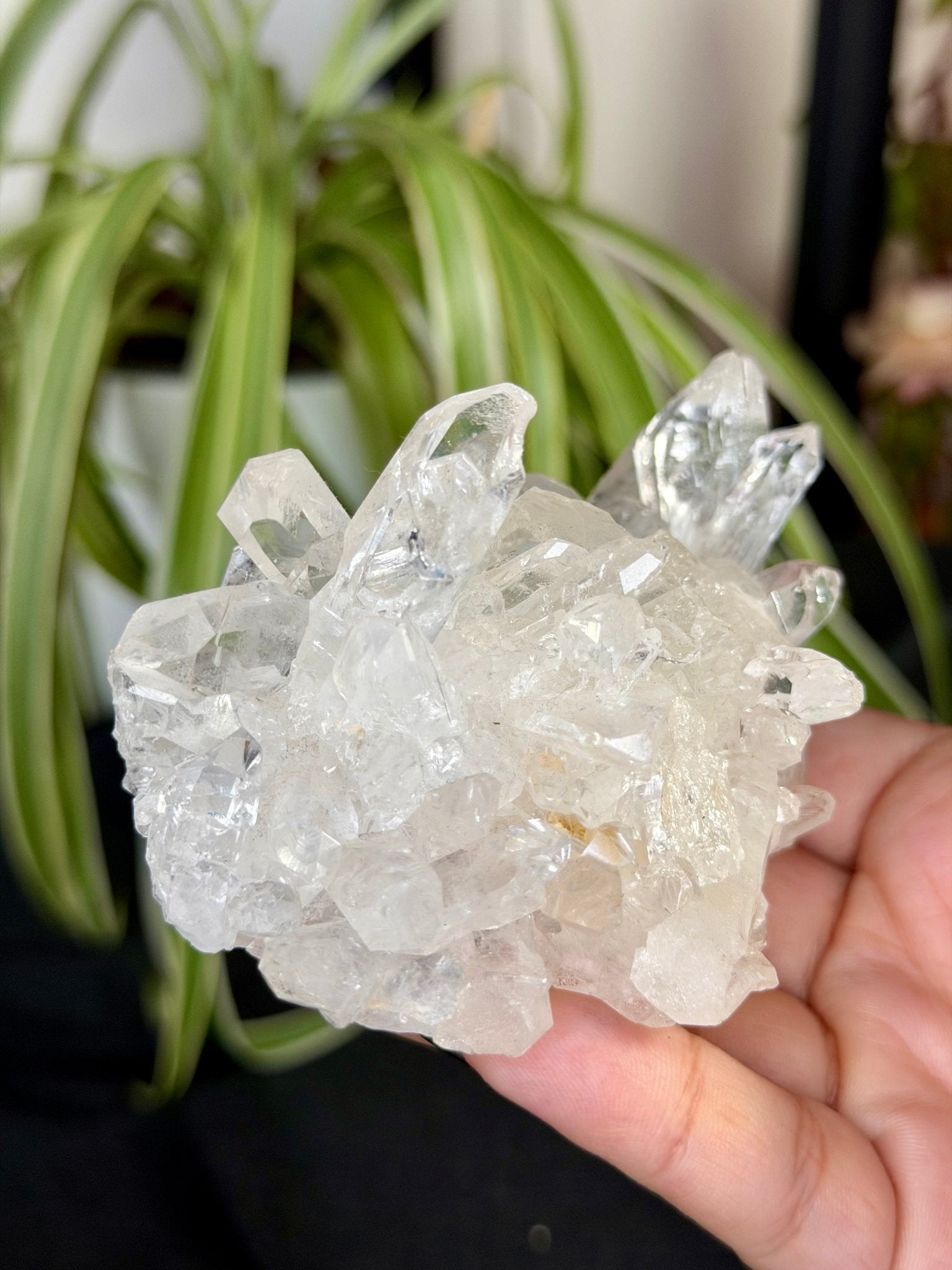 Clear Quartz Cluster |196g - The Crystal Valley