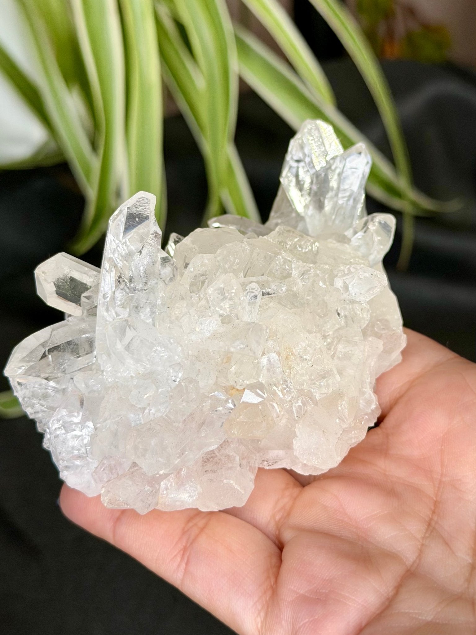 Clear Quartz Cluster |196g - The Crystal Valley