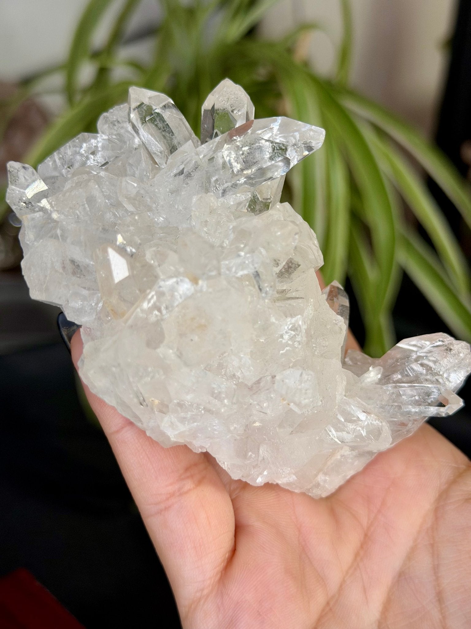 Clear Quartz Cluster |196g - The Crystal Valley