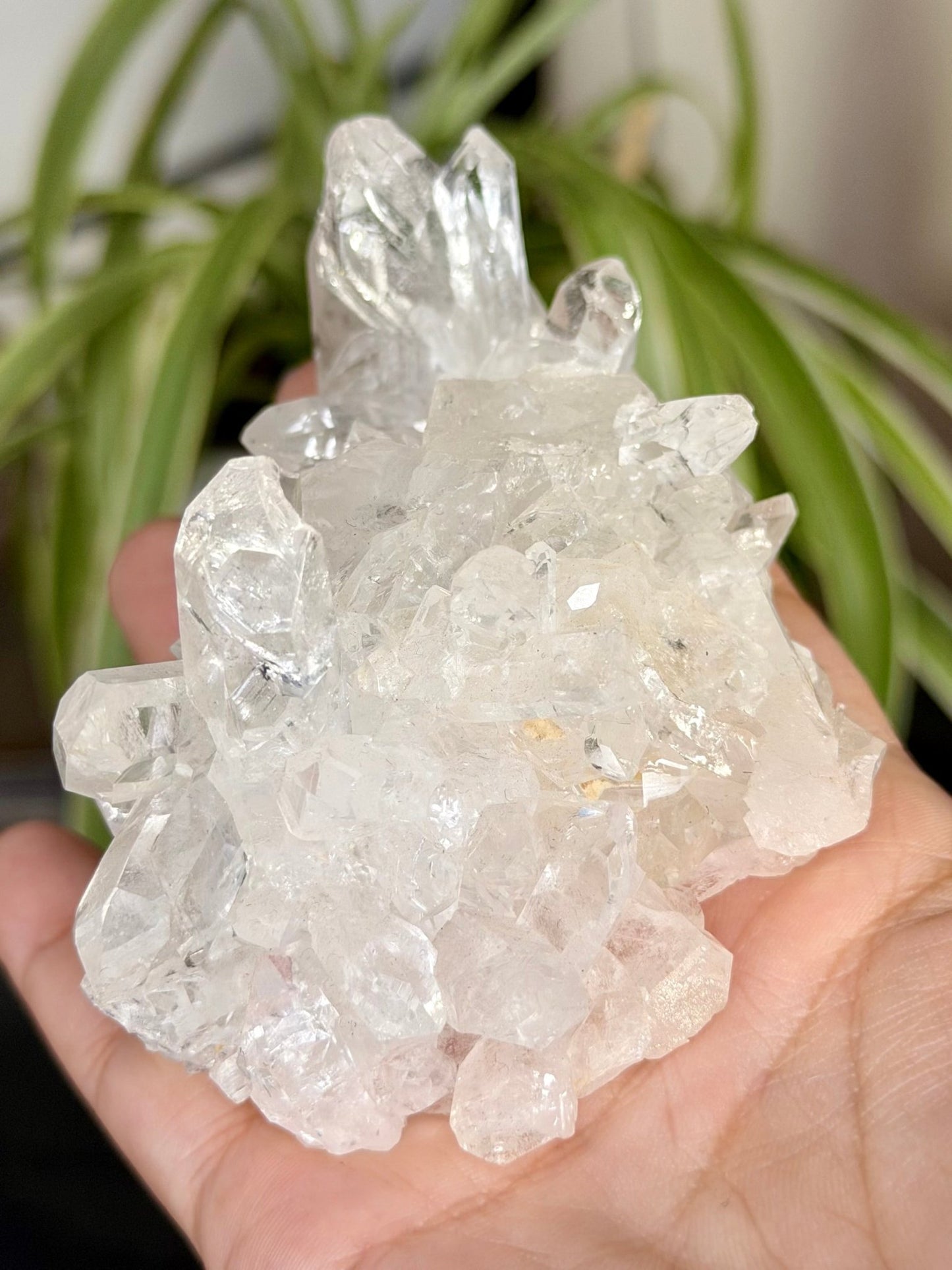 Clear Quartz Cluster |196g - The Crystal Valley