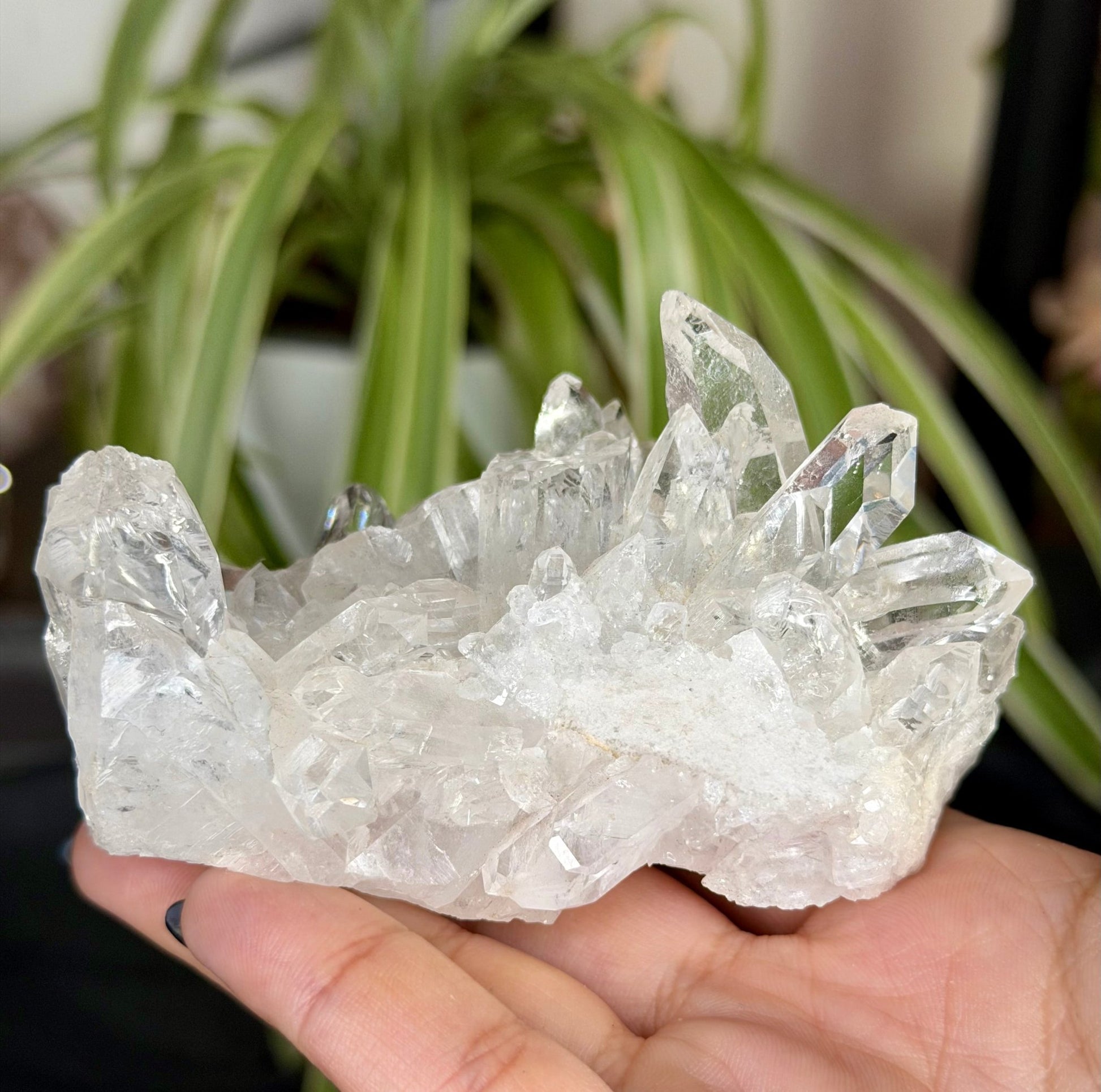 Clear Quartz Cluster |196g - The Crystal Valley