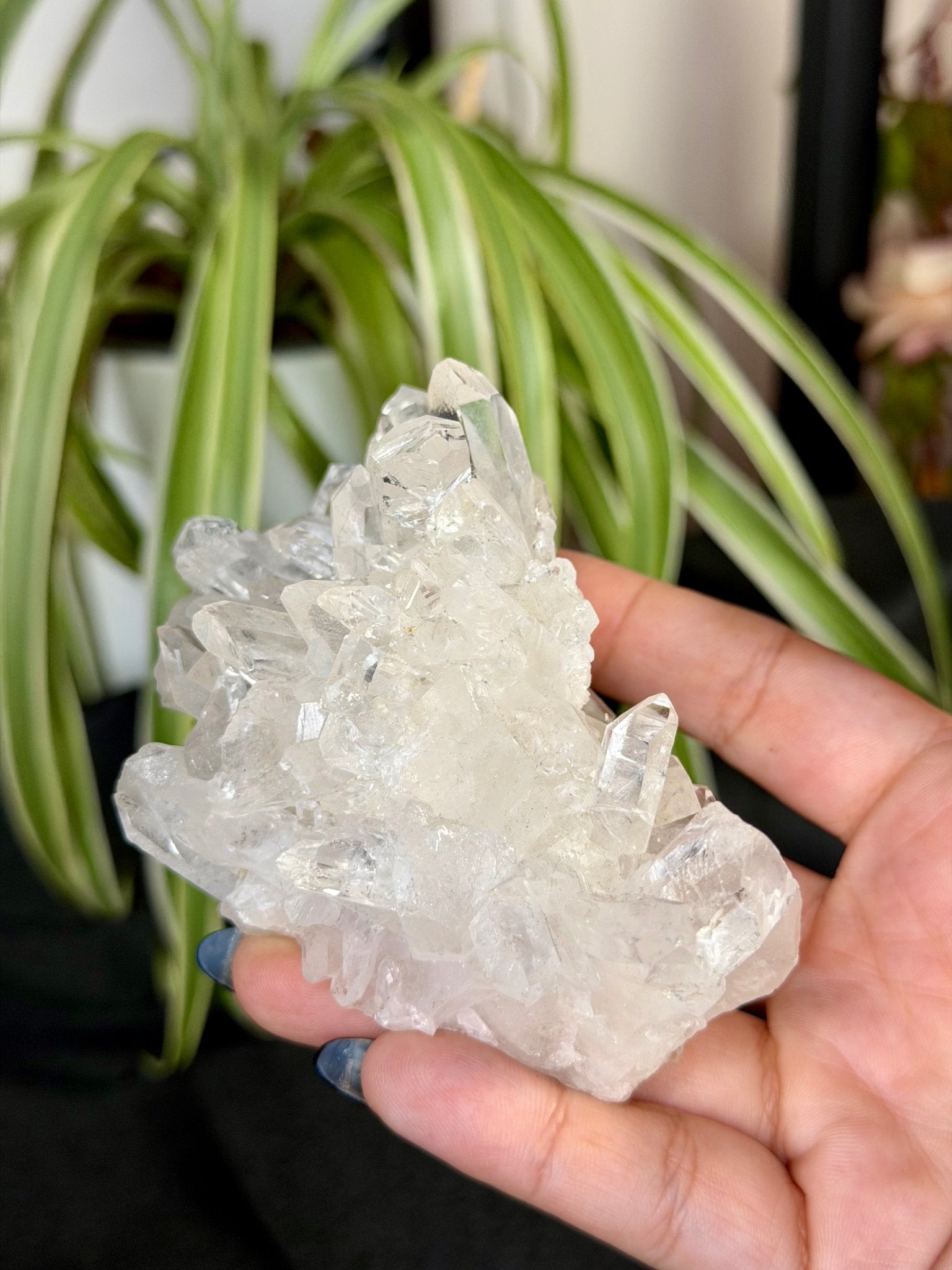 Clear Quartz Cluster |196g - The Crystal Valley