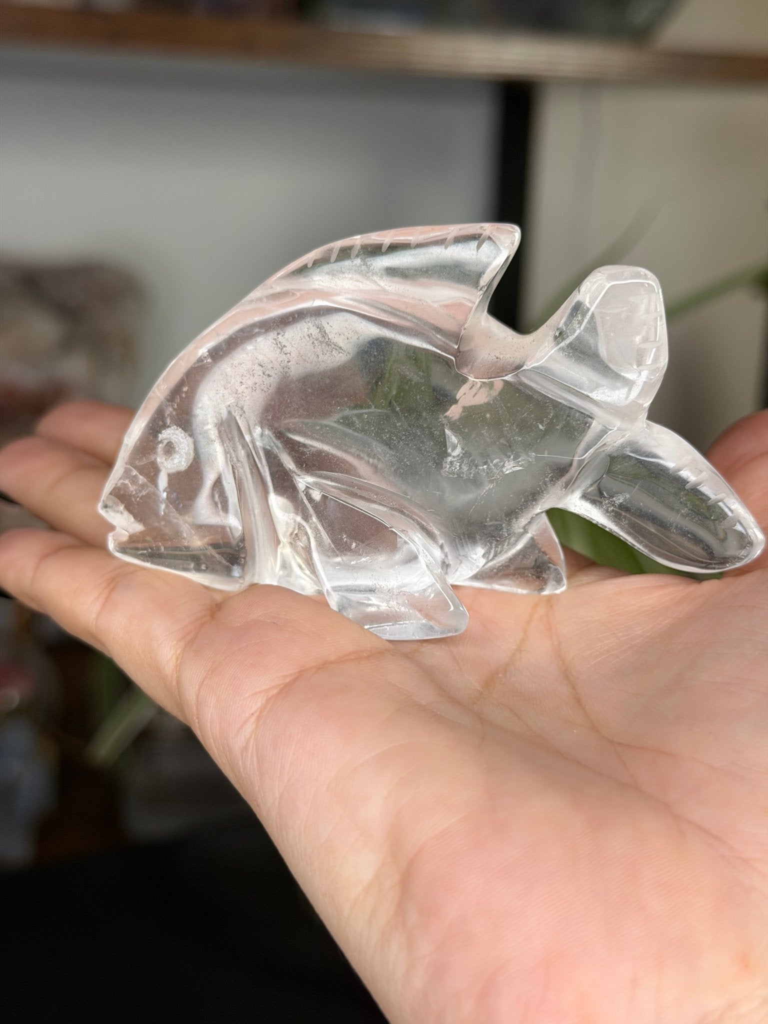 Clear Quartz Fish | 109g - The Crystal Valley
