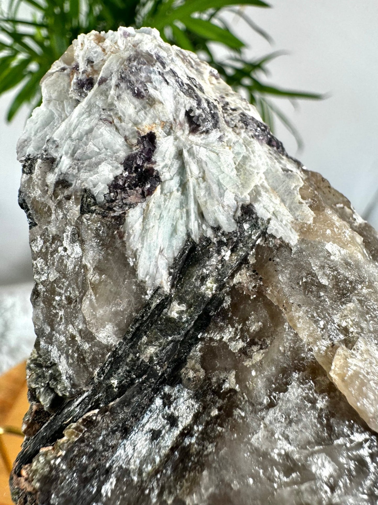 Collector's Item - Natural Green & Pink Tourmaline on Citrine, Smokey & Quartz with Lepidolite & Mica | 478g - The Crystal Valley