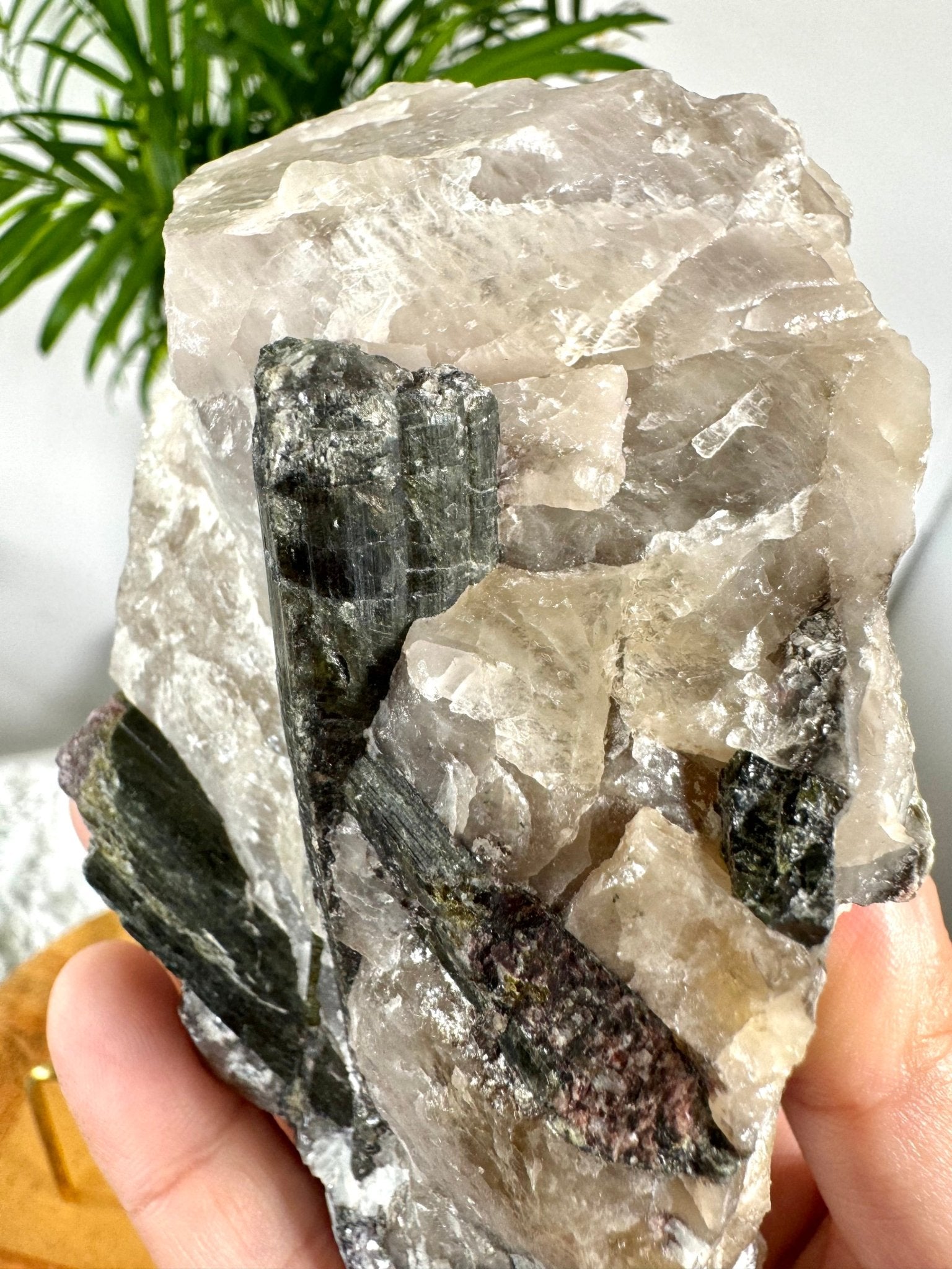 Collector's Item - Natural Green & Pink Tourmaline on Citrine, Smokey & Quartz with Lepidolite & Mica | 478g - The Crystal Valley