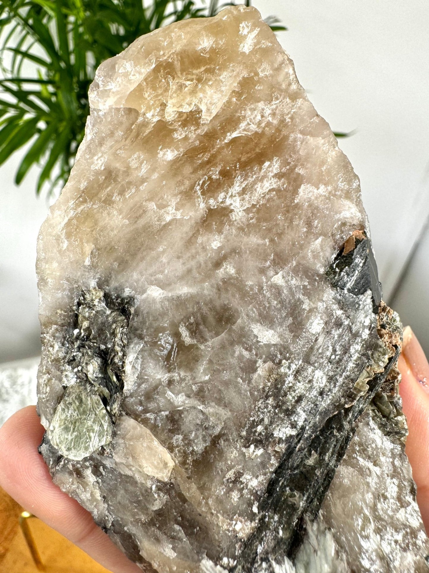 Collector's Item - Natural Green & Pink Tourmaline on Citrine, Smokey & Quartz with Lepidolite & Mica | 478g - The Crystal Valley