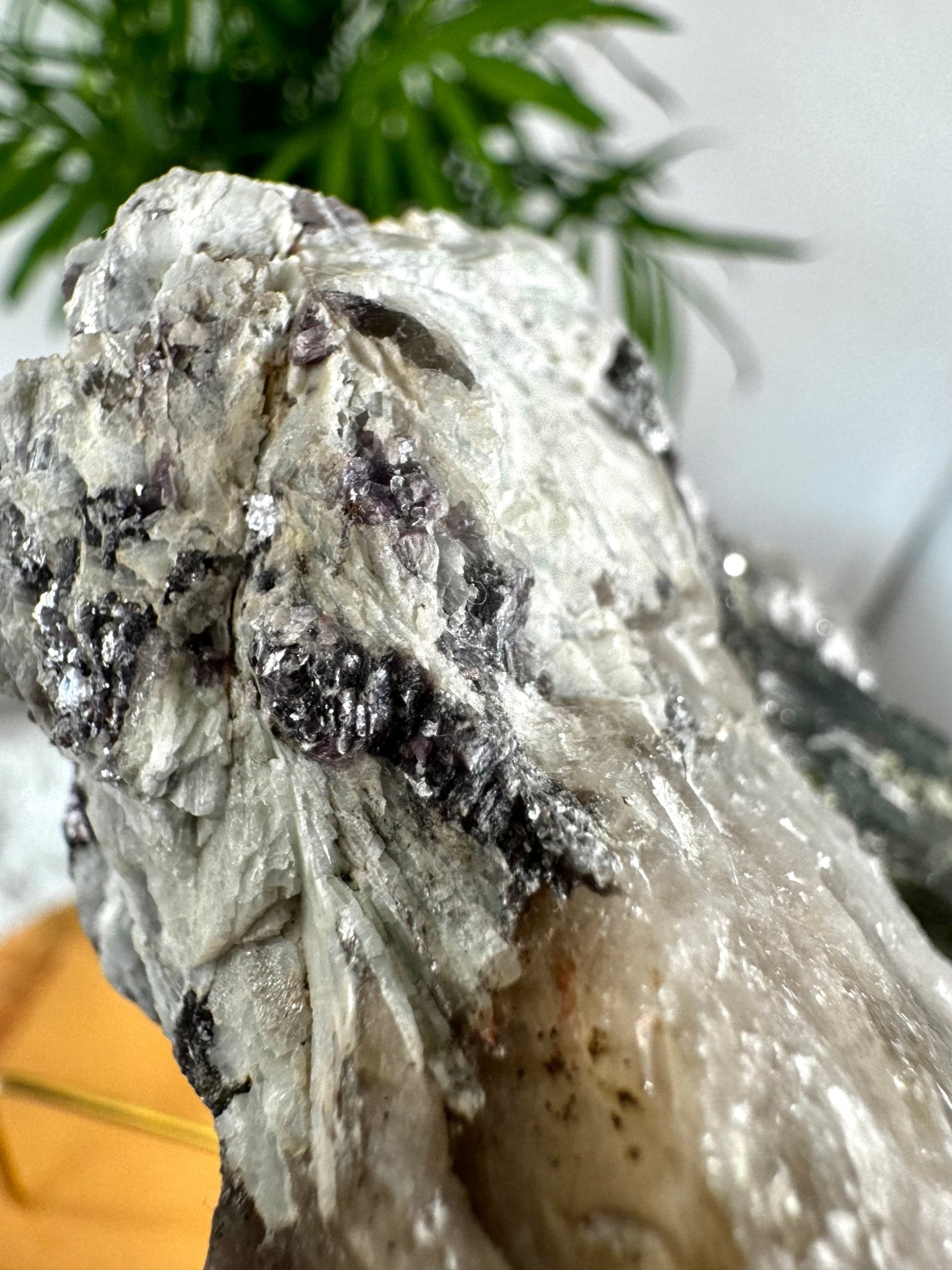 Collector's Item - Natural Green & Pink Tourmaline on Citrine, Smokey & Quartz with Lepidolite & Mica | 478g - The Crystal Valley