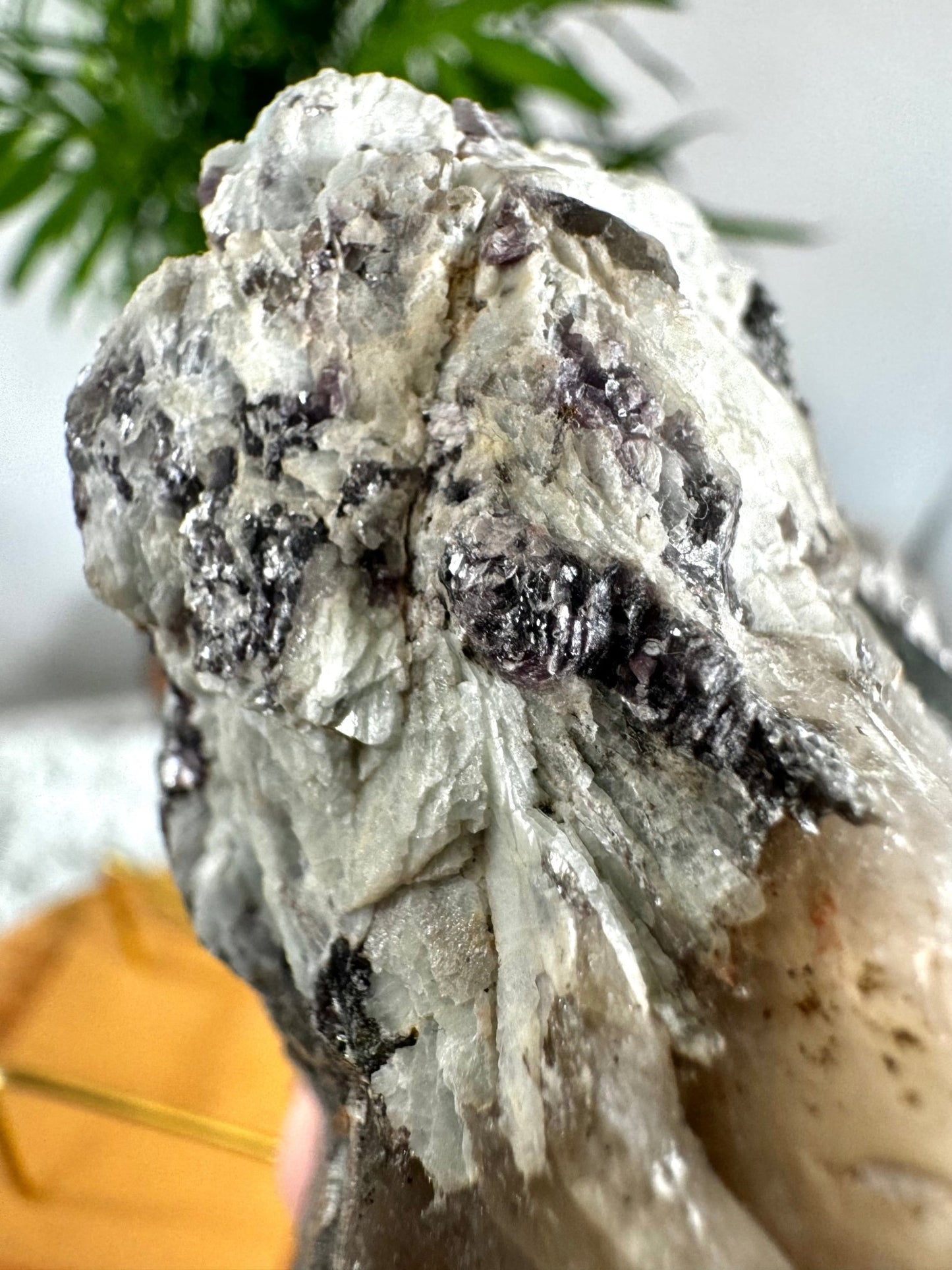 Collector's Item - Natural Green & Pink Tourmaline on Citrine, Smokey & Quartz with Lepidolite & Mica | 478g - The Crystal Valley