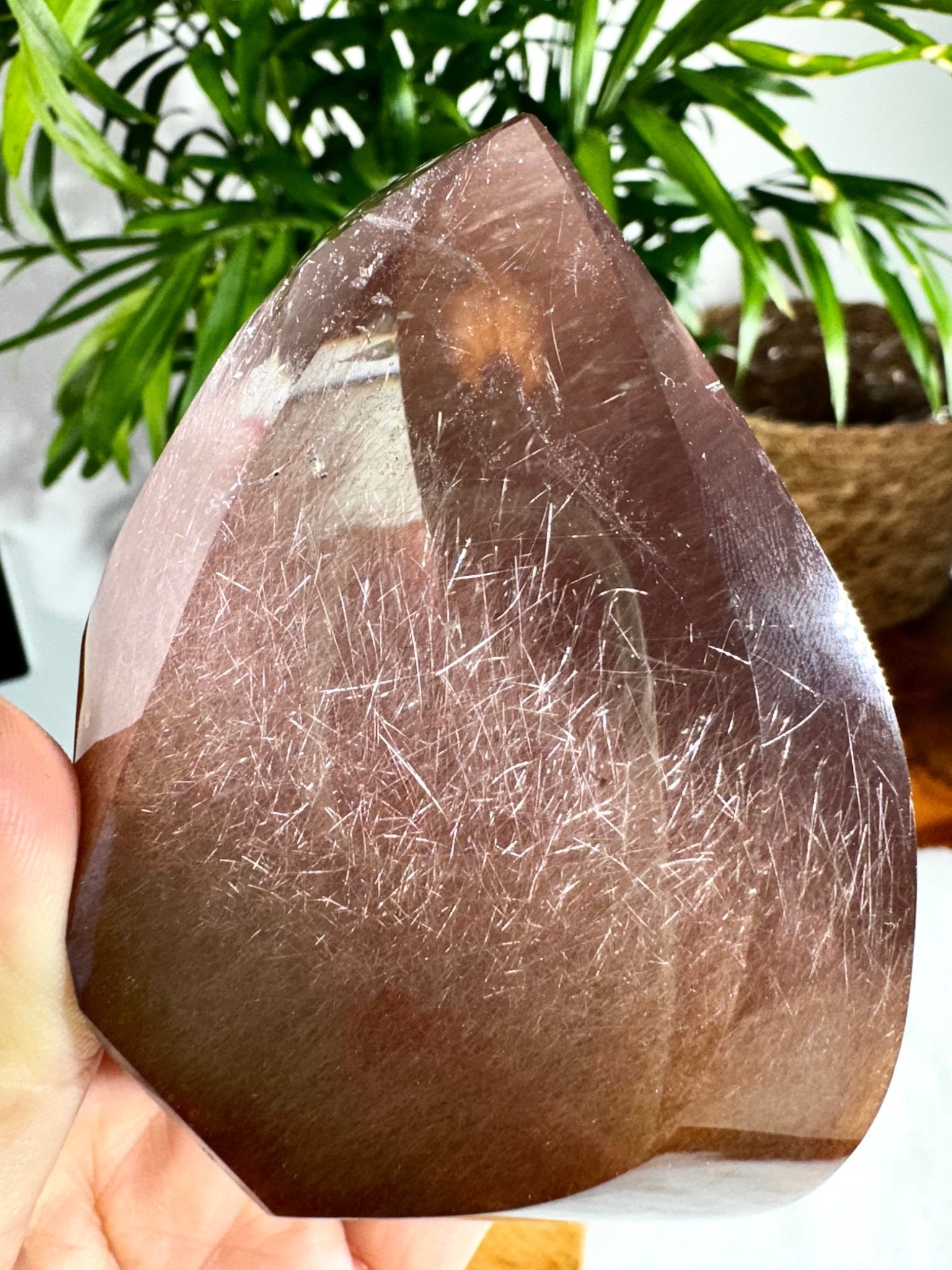 Extra Quality Golden & Red Rutile Lens | 250g - The Crystal Valley