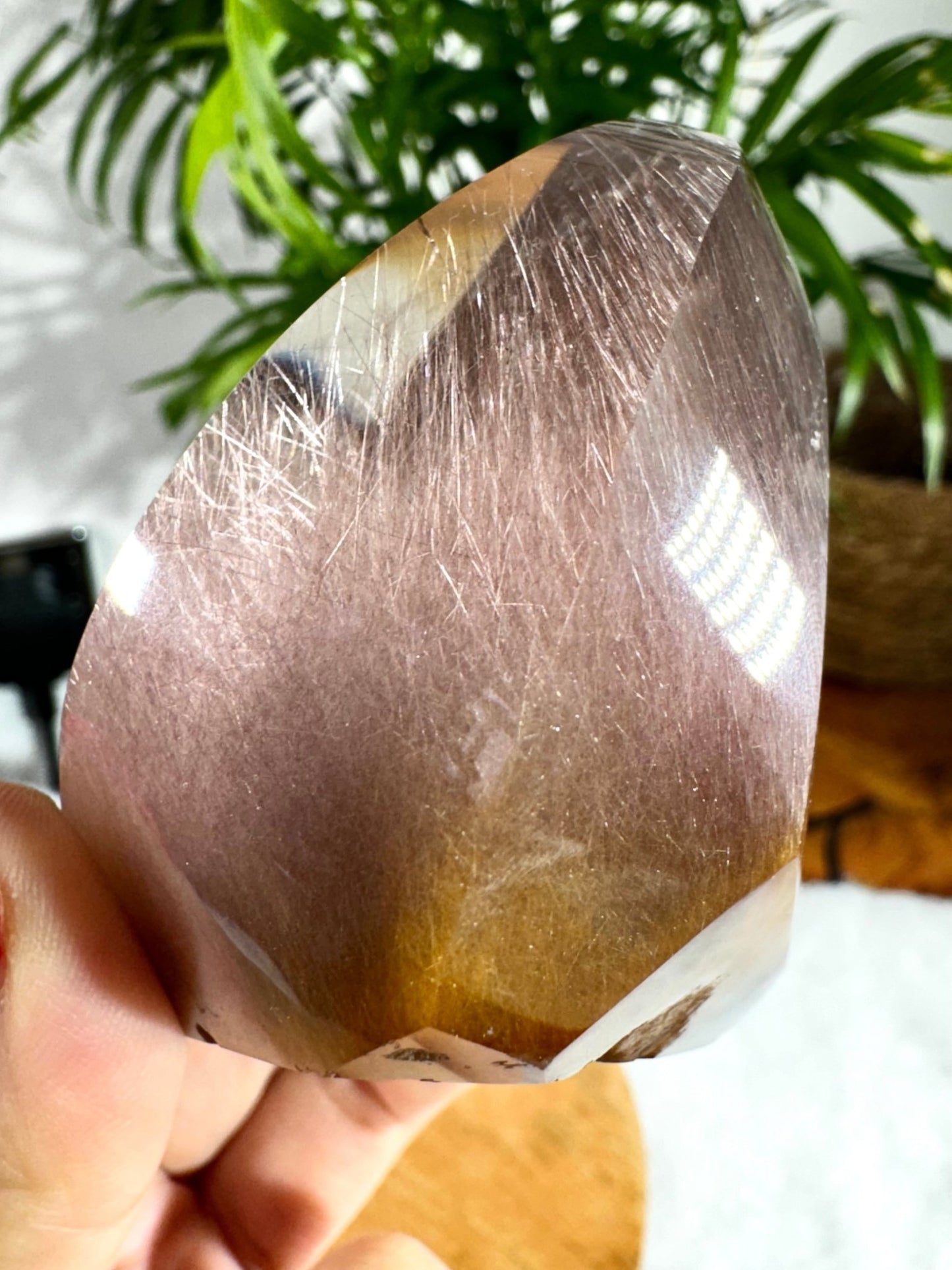 Extra Quality Golden & Red Rutile Lens | 250g - The Crystal Valley