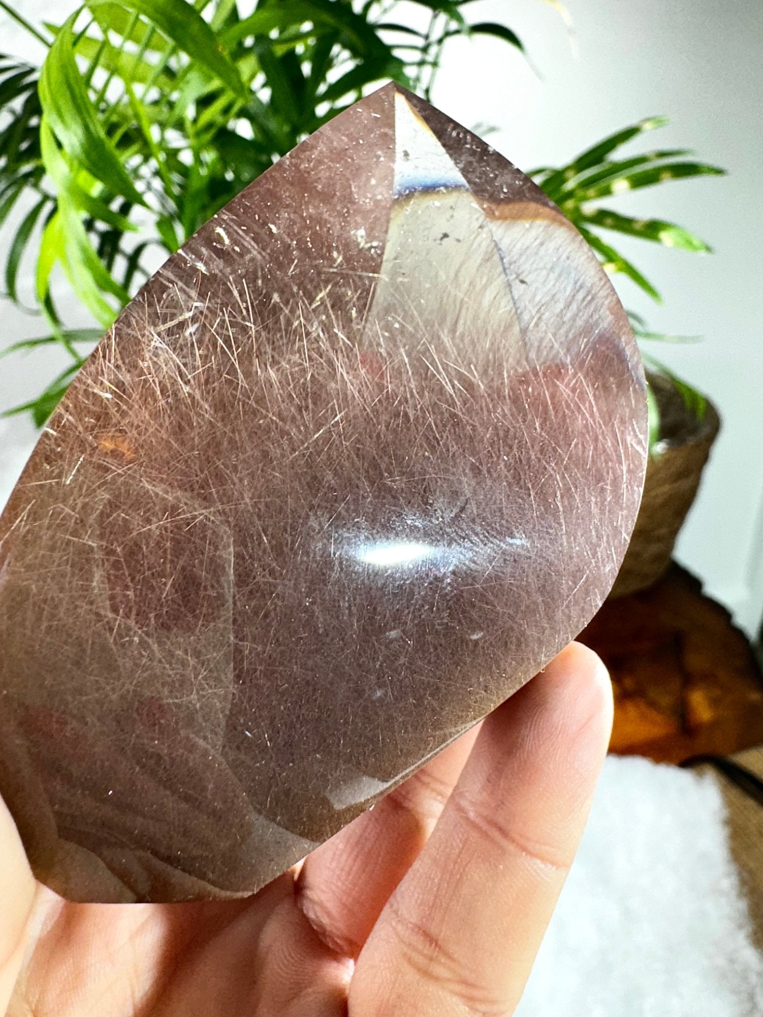 Extra Quality Golden & Red Rutile Lens | 250g - The Crystal Valley