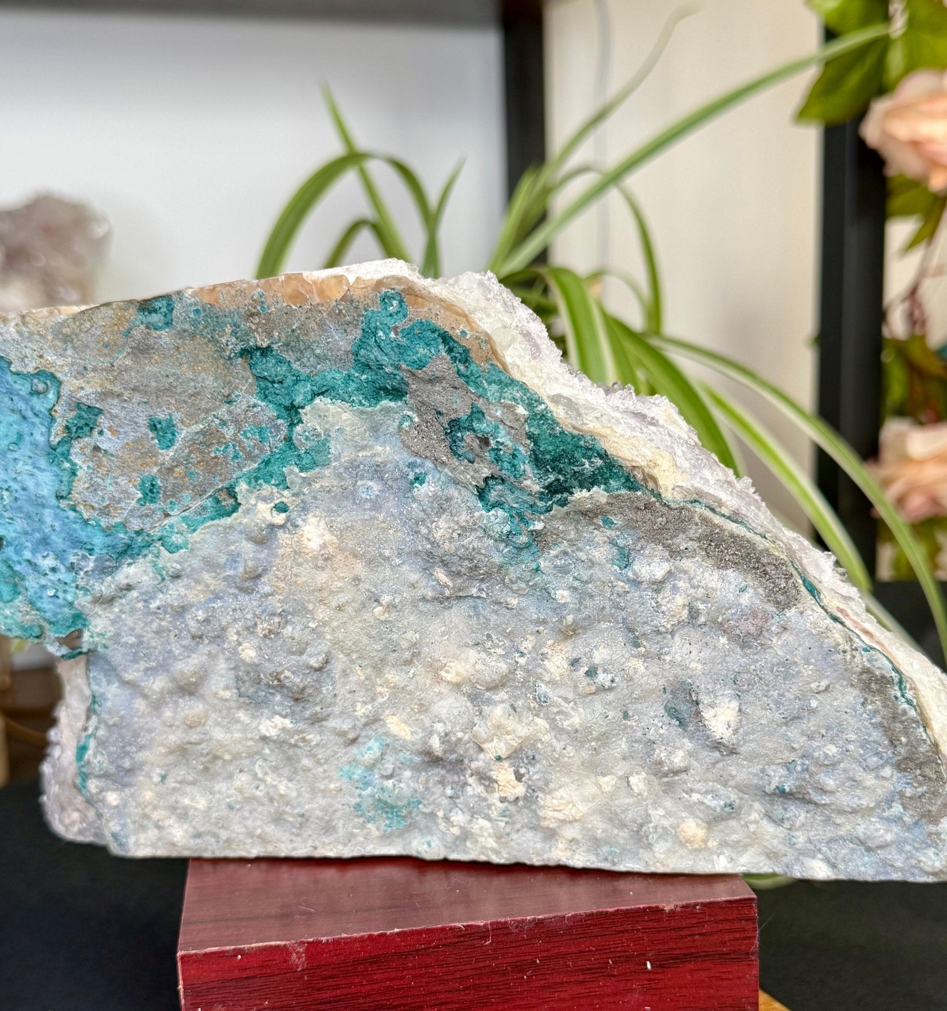 Fantastic & Unique Amethyst | 2.01kg - The Crystal Valley