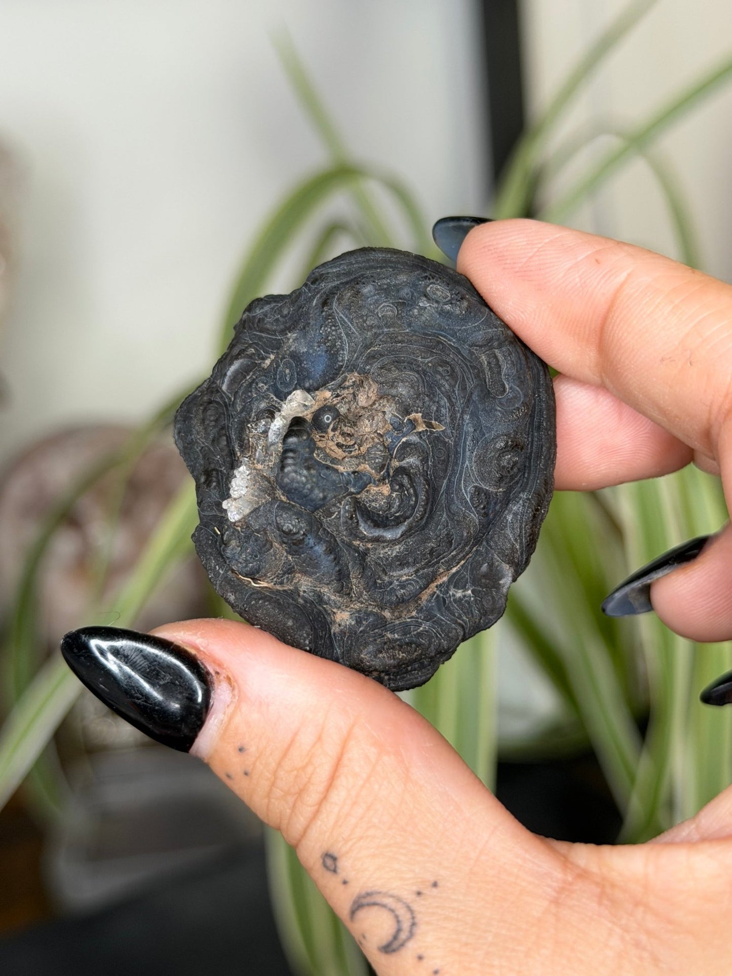 Galaxy Chalcedony | 14g - The Crystal Valley