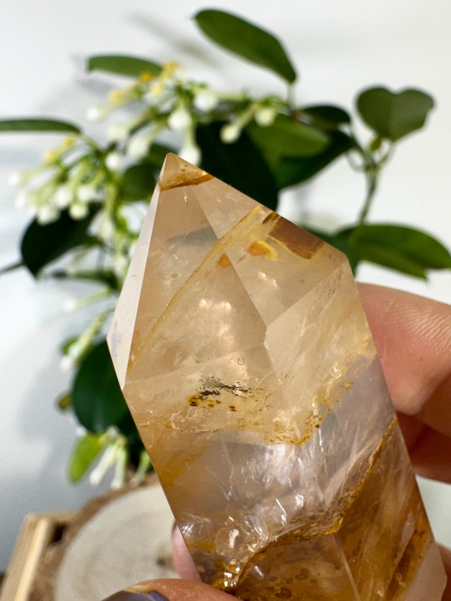 Golden Tower | 74g - The Crystal Valley