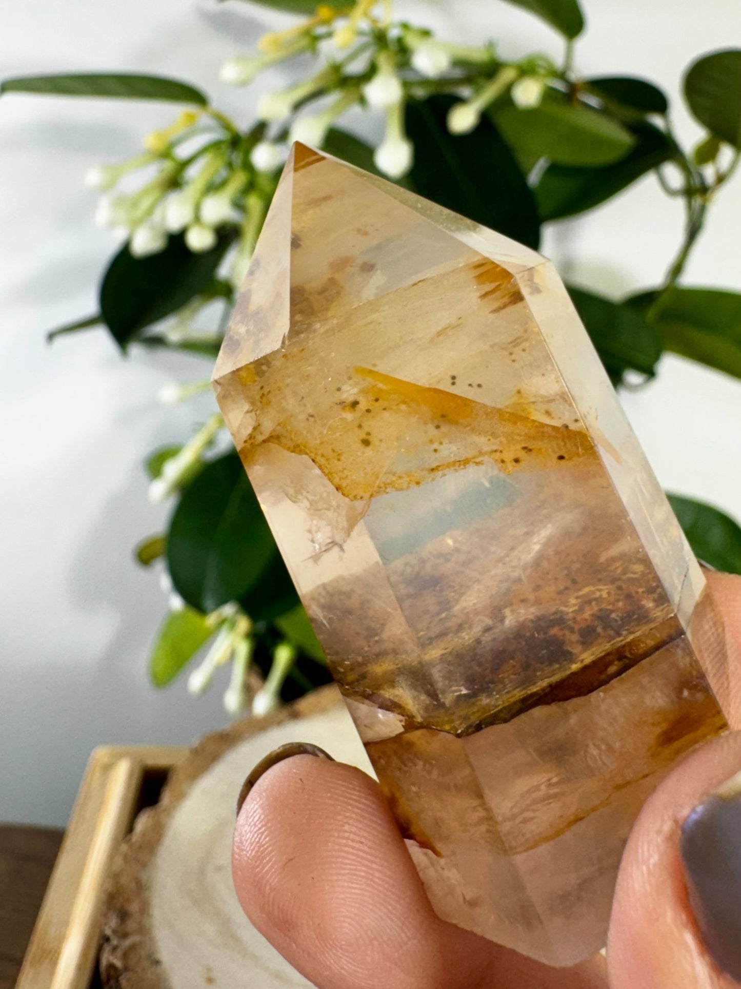 Golden Tower | 74g - The Crystal Valley