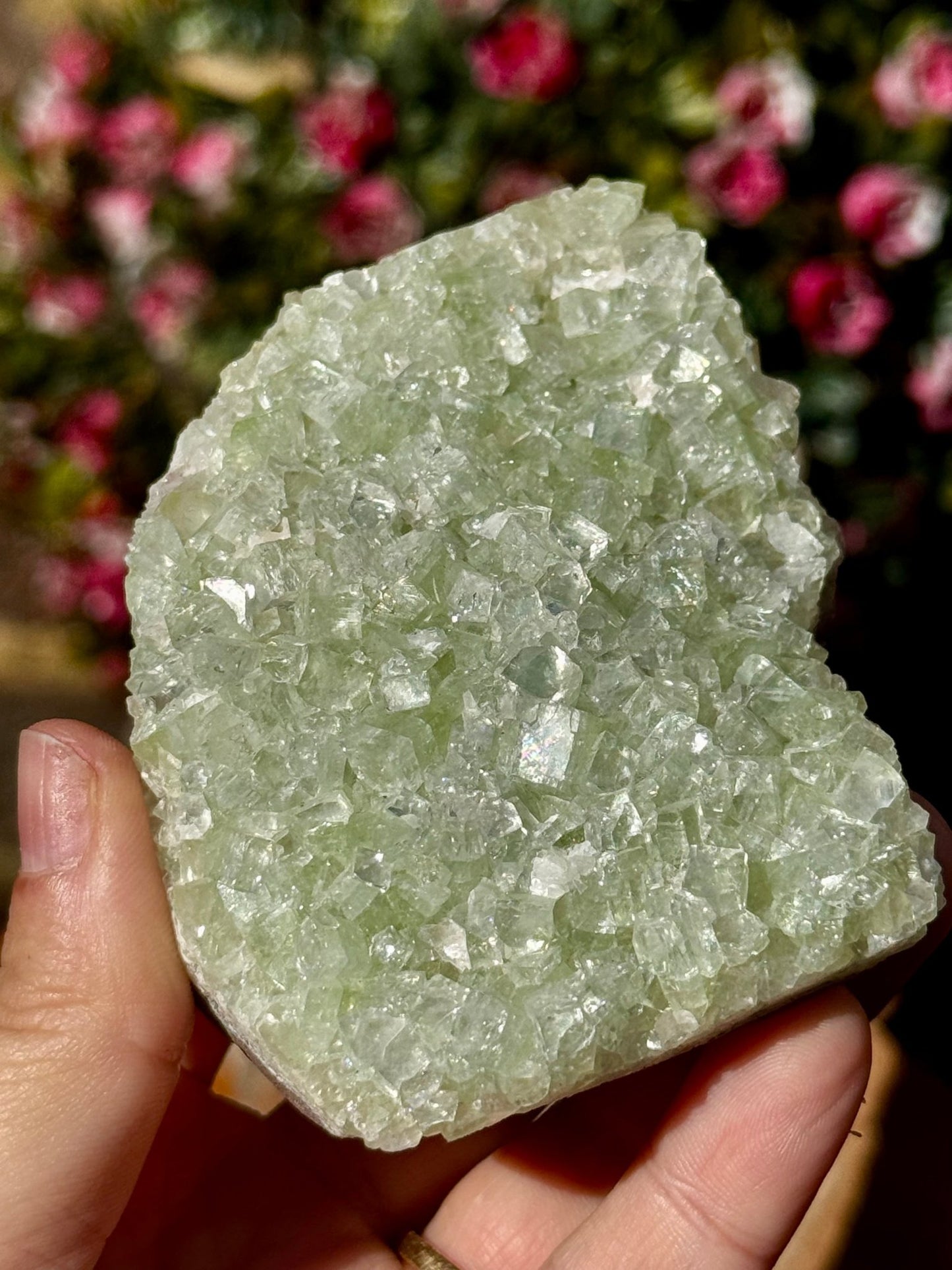 Green Apophyllite Cluster | 180g - The Crystal Valley