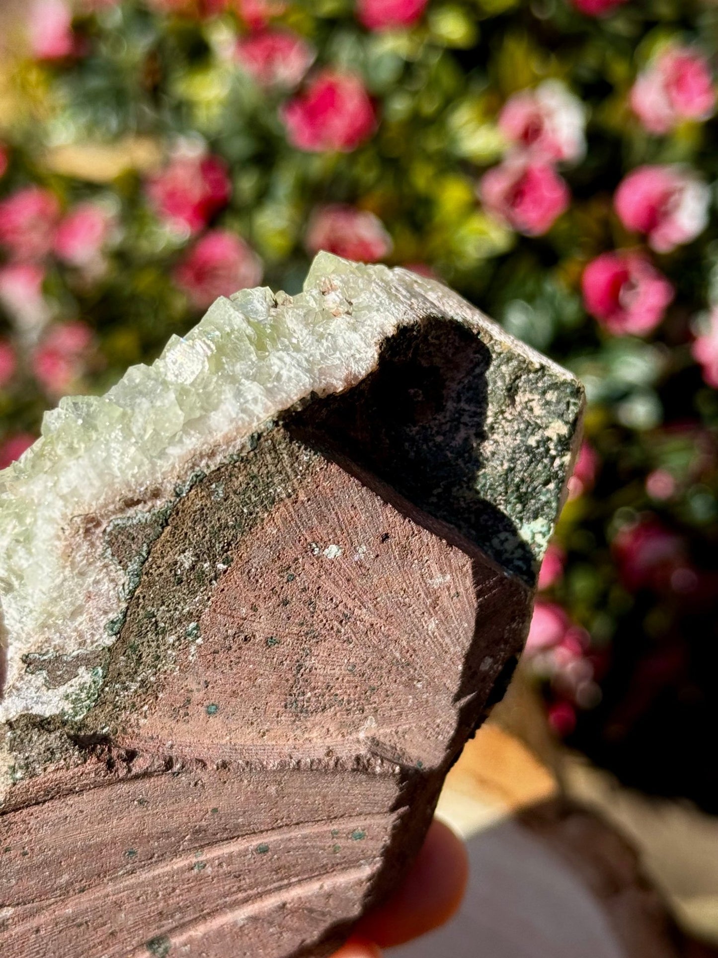 Green Apophyllite Cluster | 202g - The Crystal Valley