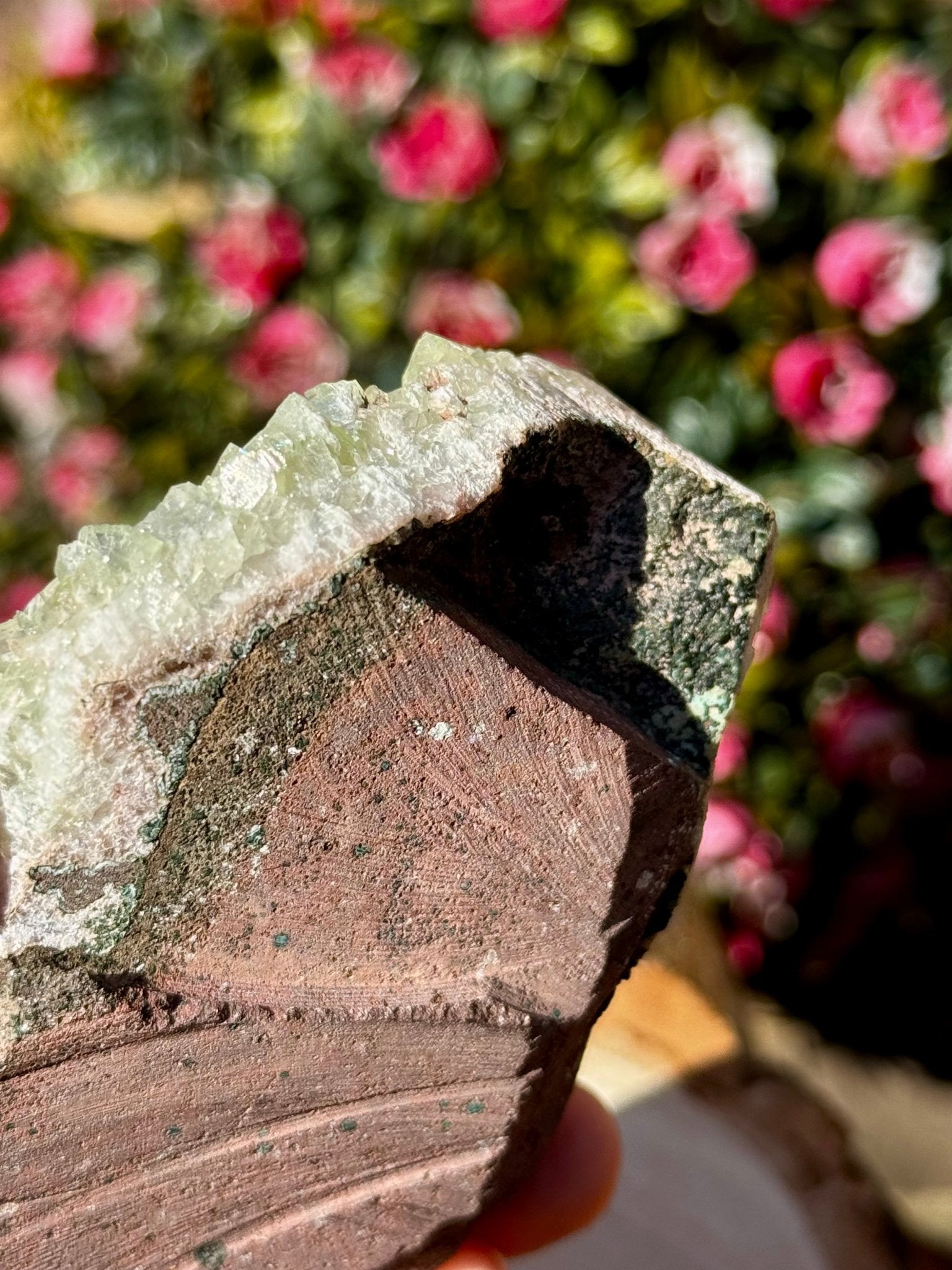 Green Apophyllite Cluster | 202g - The Crystal Valley