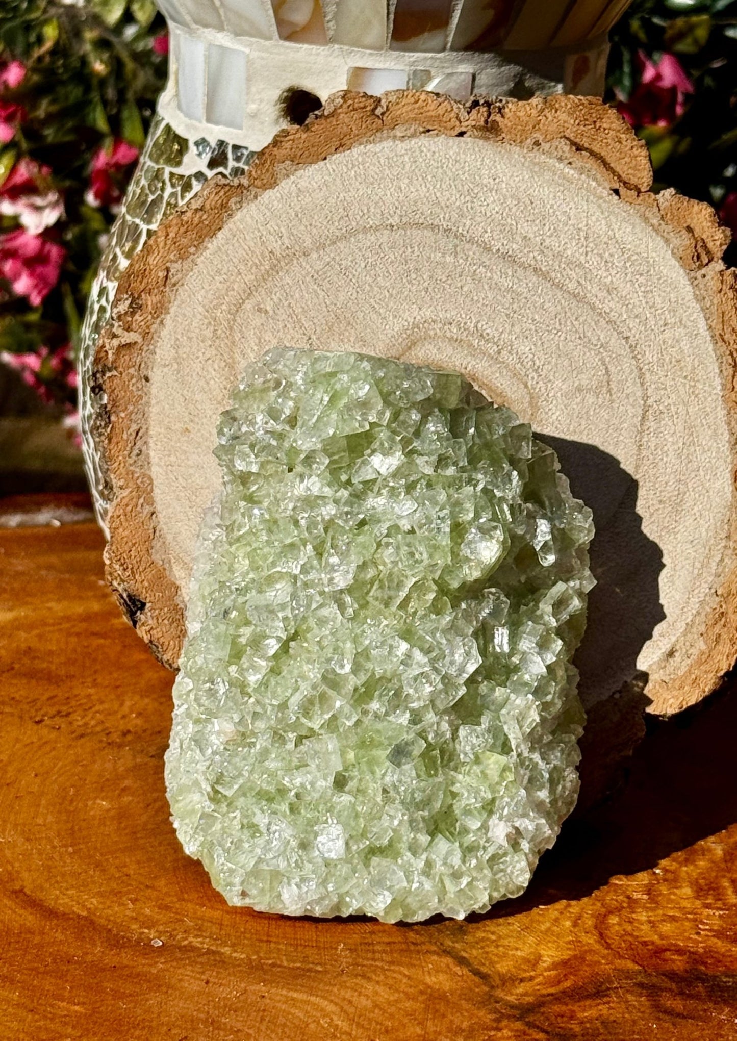 Green Apophyllite Cluster | 202g - The Crystal Valley