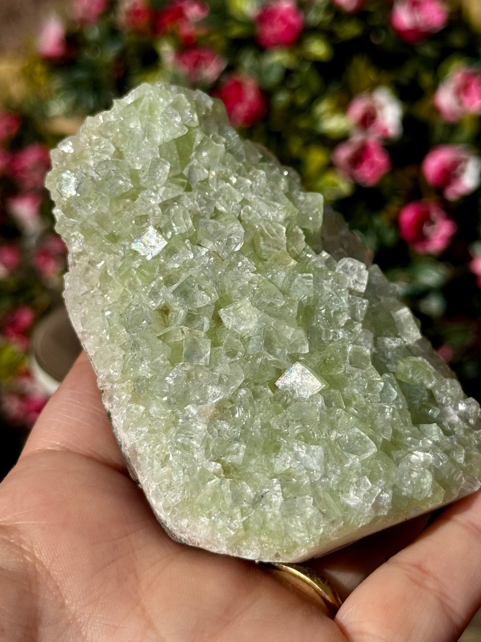 Green Apophyllite Cluster | 202g - The Crystal Valley