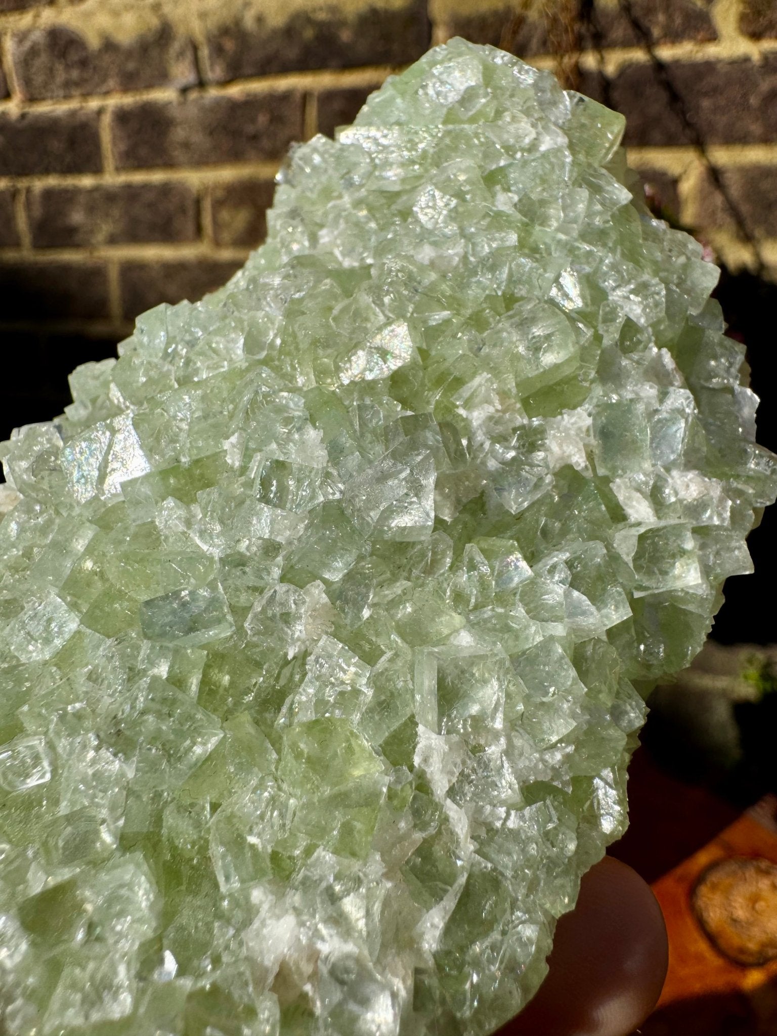 Green Apophyllite Cluster | 202g - The Crystal Valley