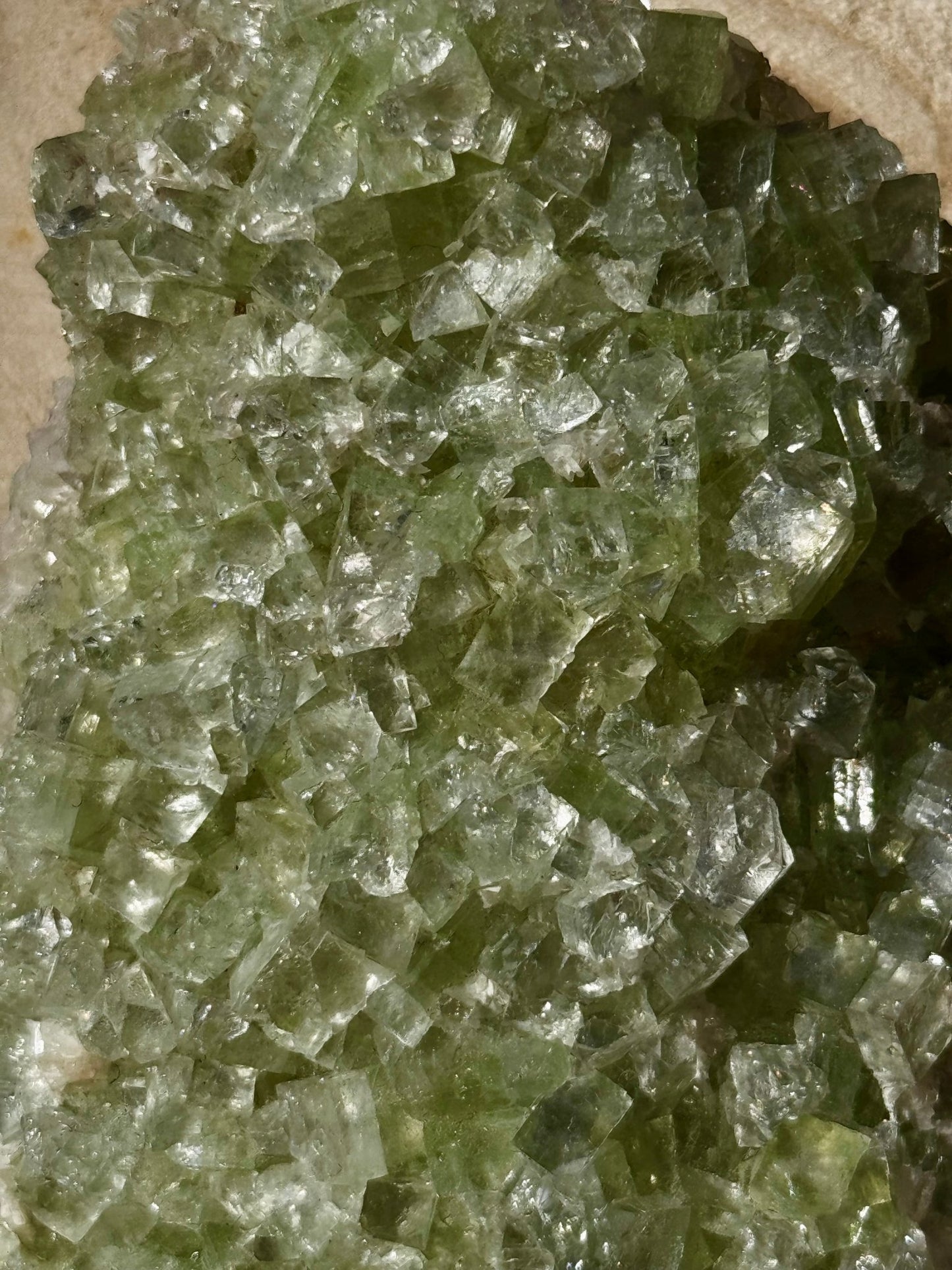 Green Apophyllite Cluster | 202g - The Crystal Valley