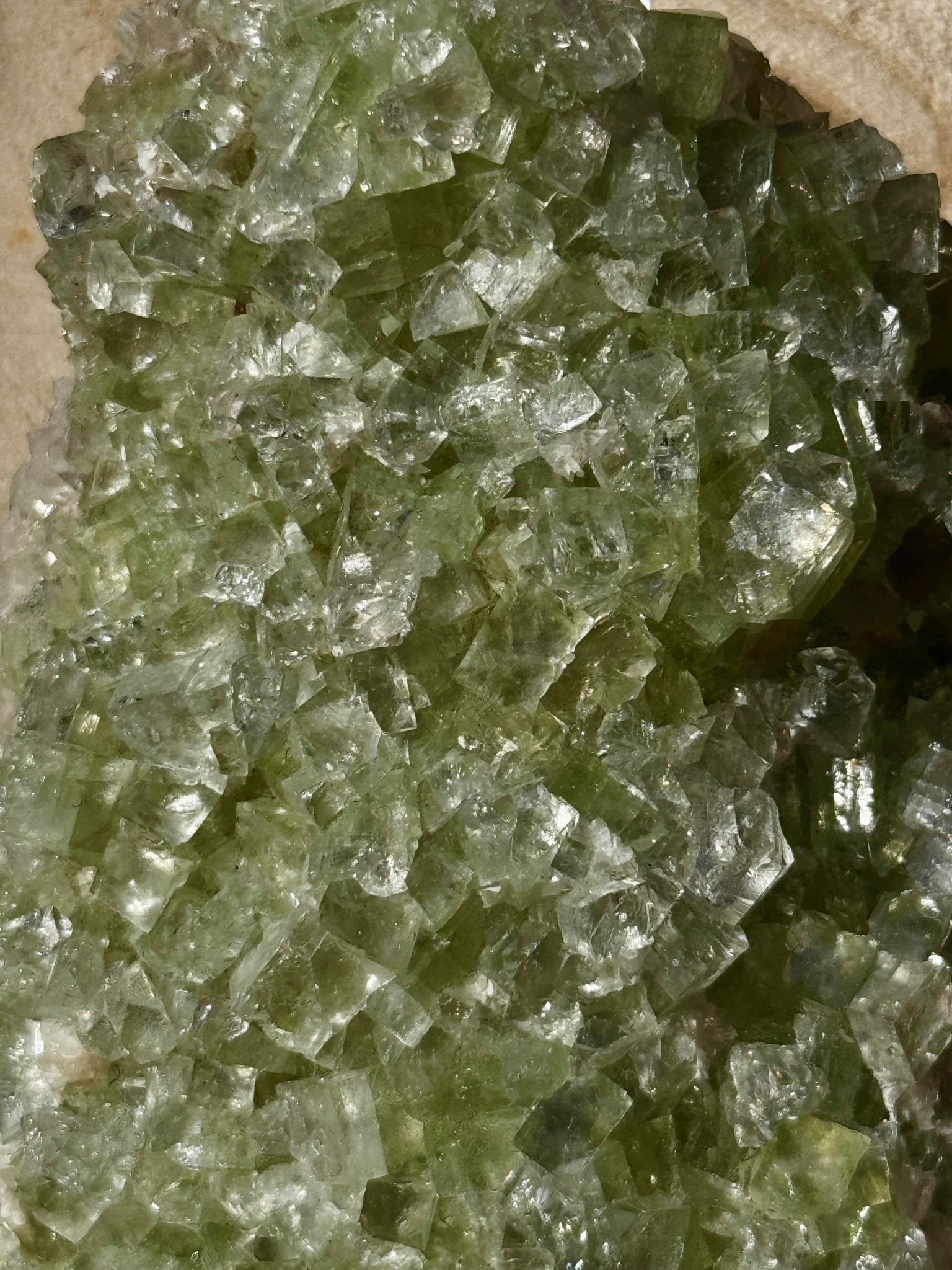 Green Apophyllite Cluster | 202g - The Crystal Valley