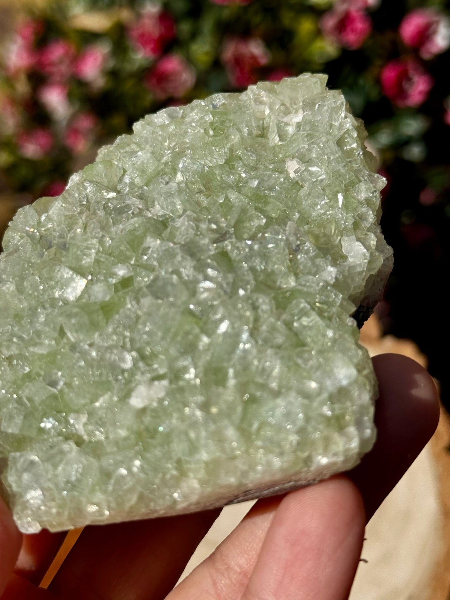 Green Apophyllite Cluster | 202g - The Crystal Valley
