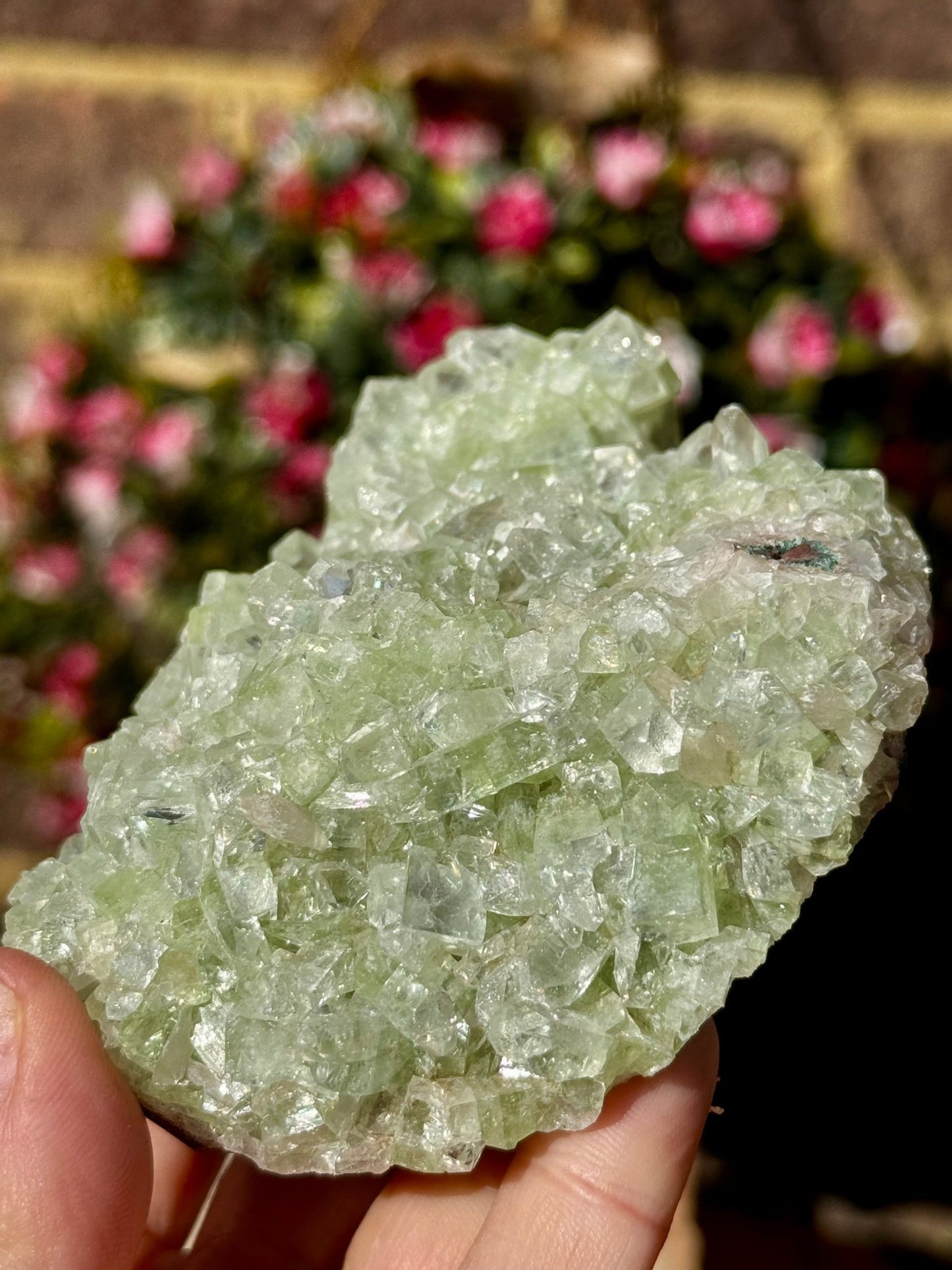 Green Apophyllite Cluster | 290g - The Crystal Valley