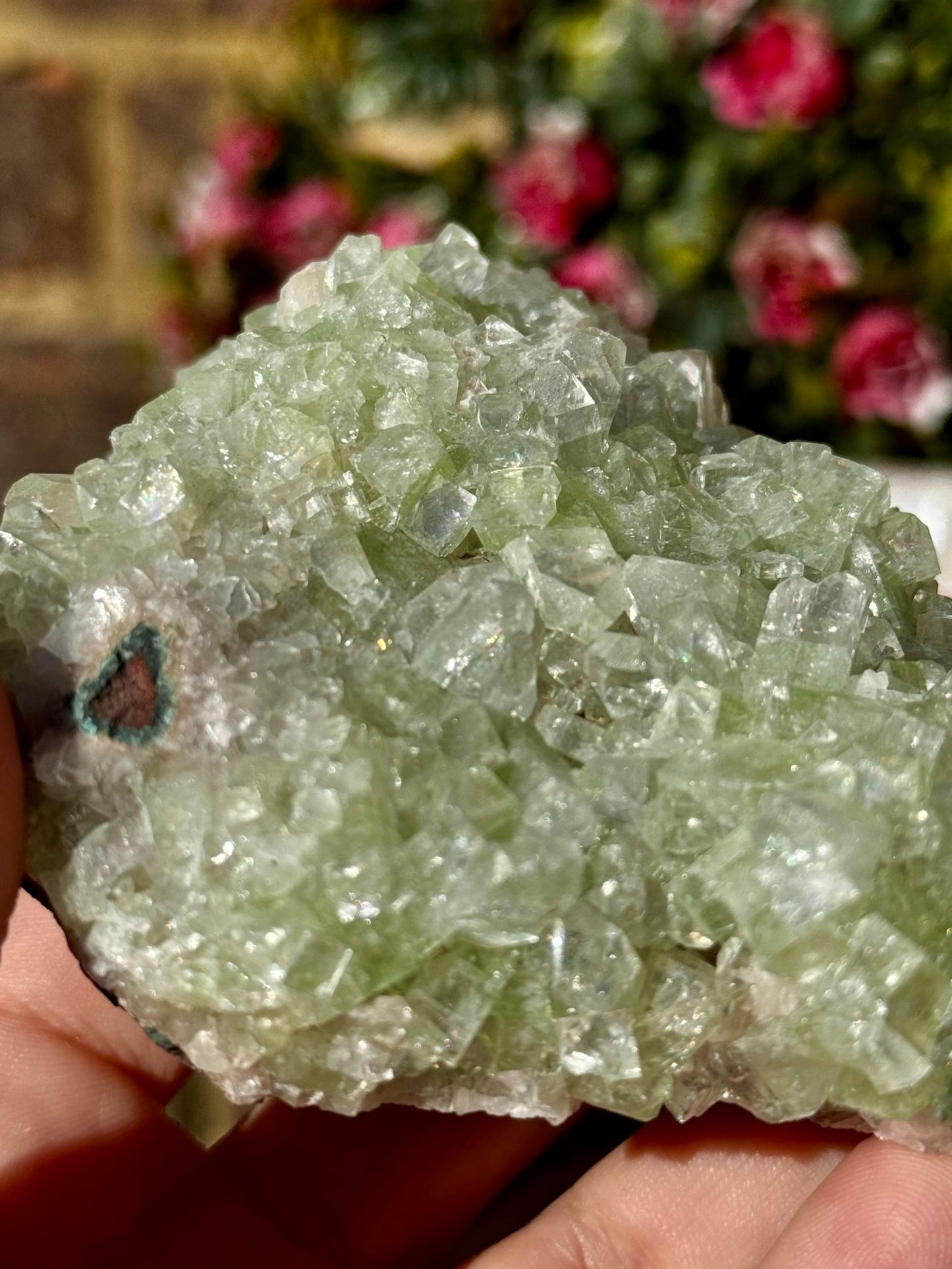 Green Apophyllite Cluster | 290g - The Crystal Valley