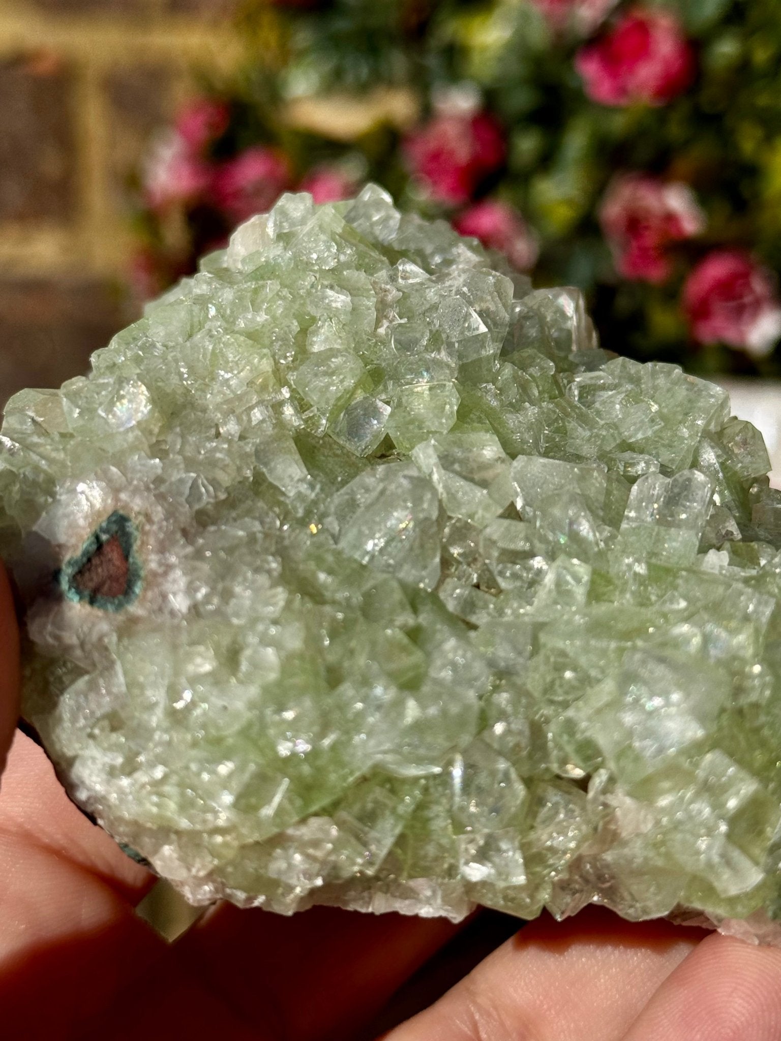Green Apophyllite Cluster | 290g - The Crystal Valley