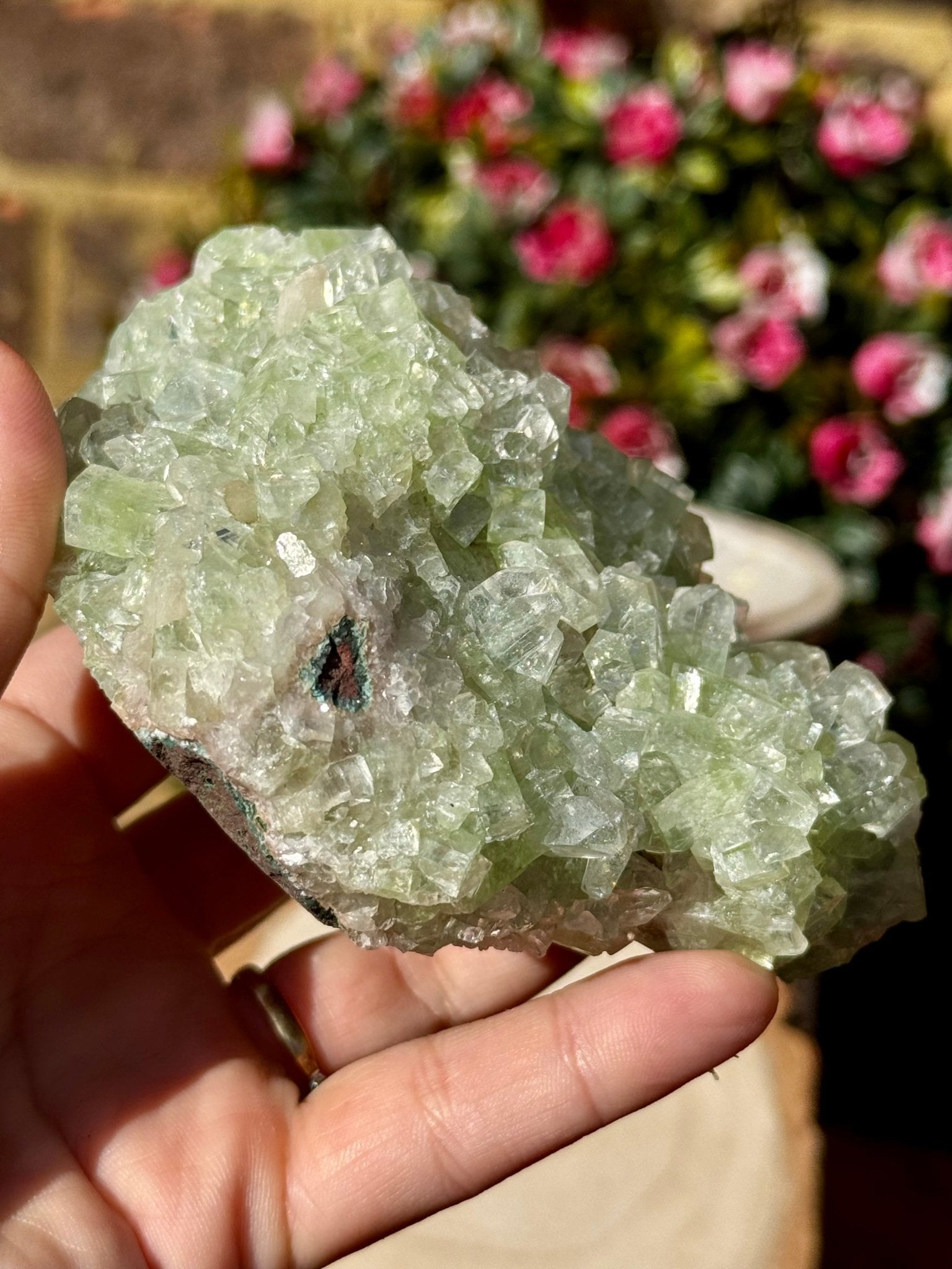 Green Apophyllite Cluster | 290g - The Crystal Valley