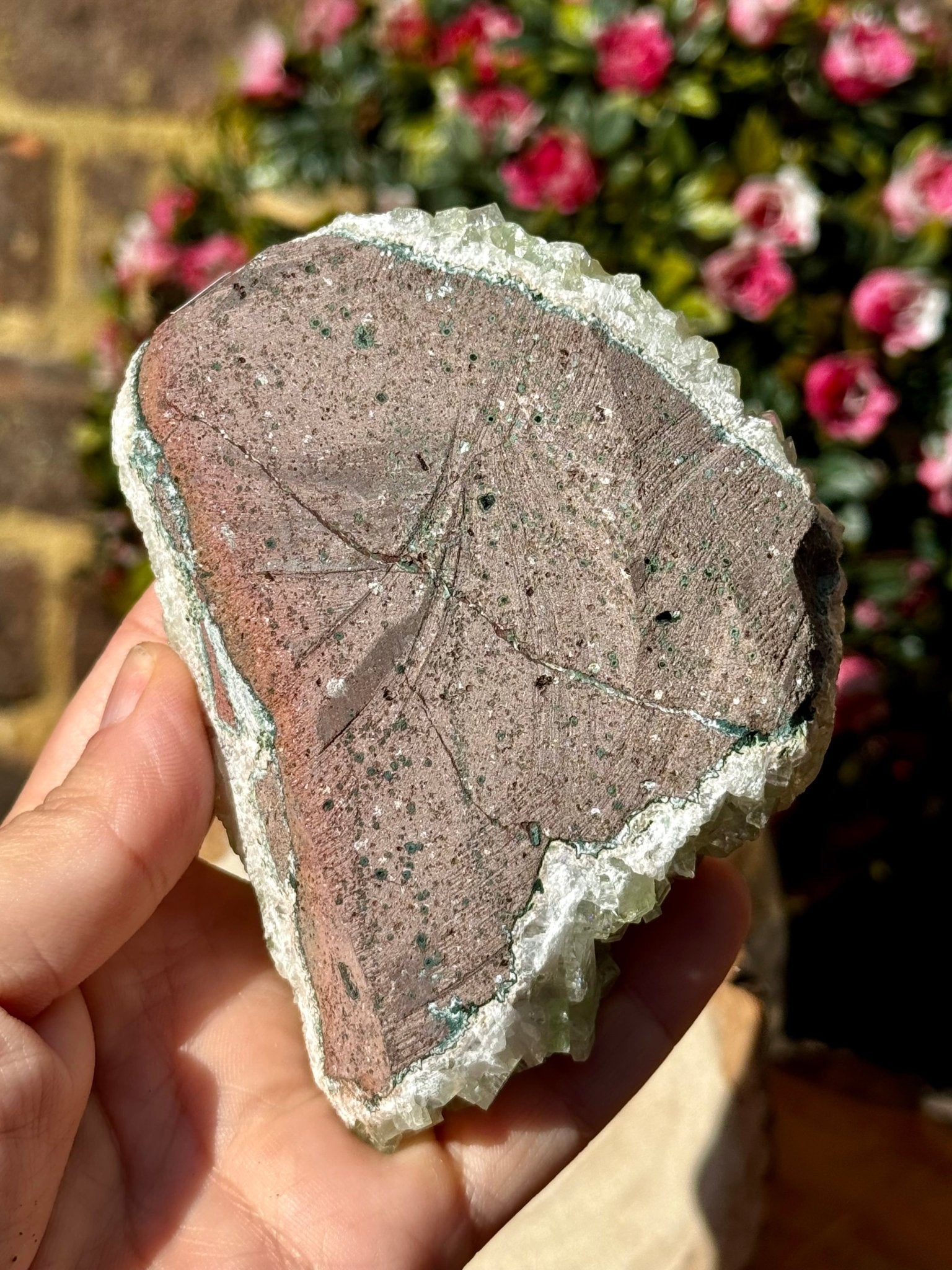 Green Apophyllite Cluster | 290g - The Crystal Valley