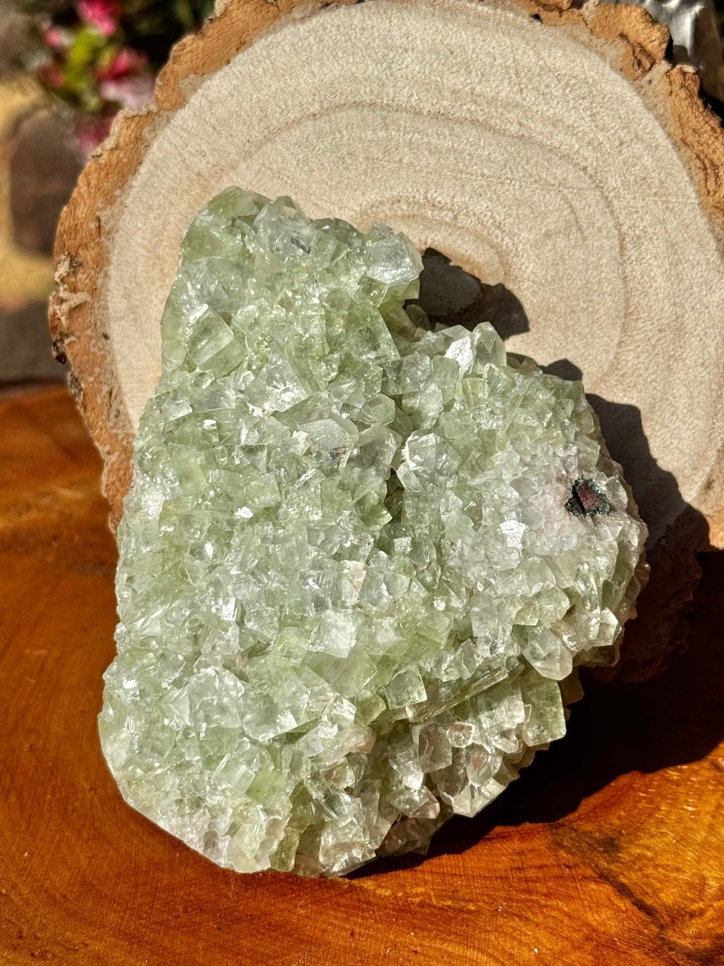 Green Apophyllite Cluster | 290g - The Crystal Valley