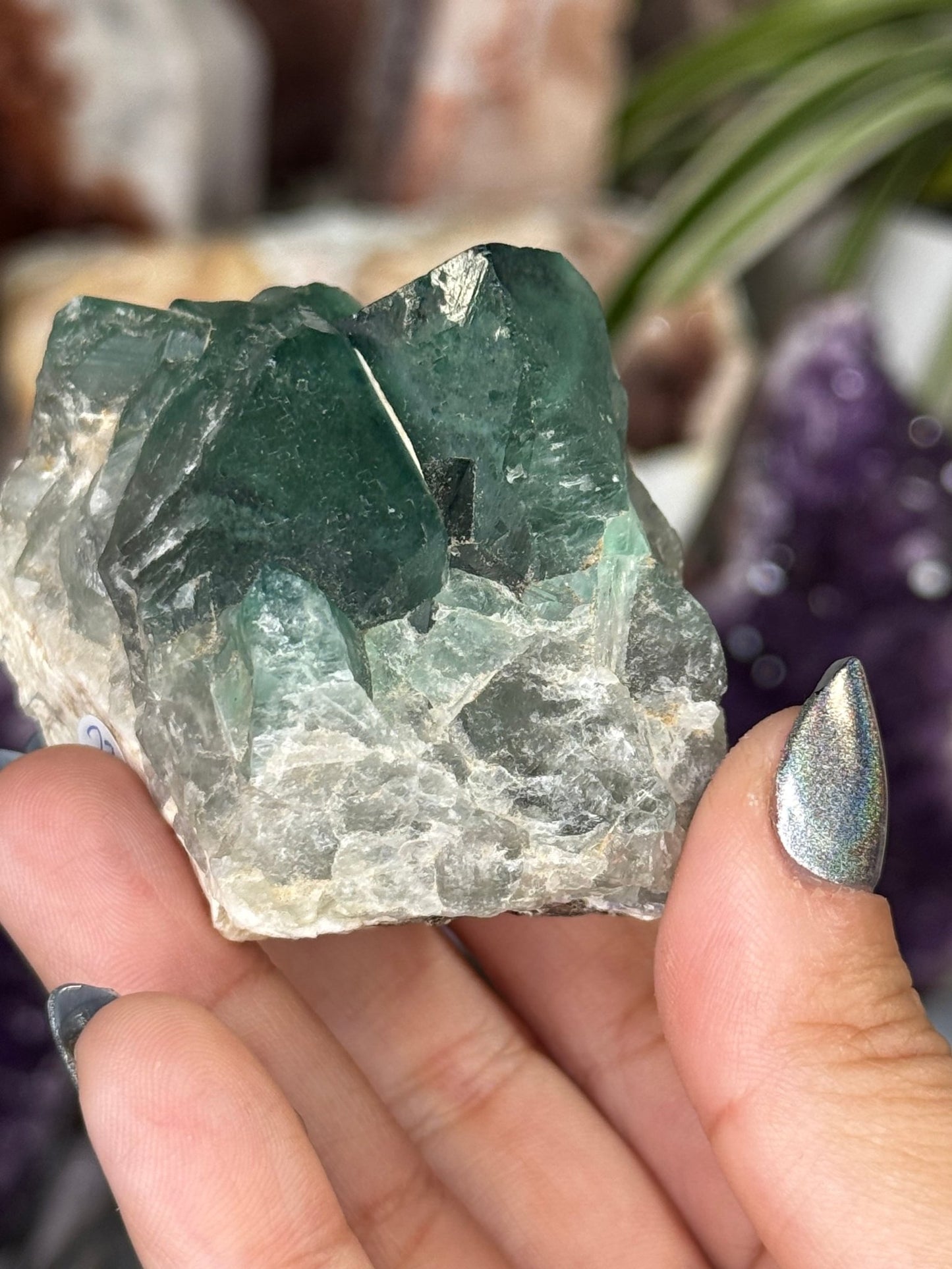 Green Fluorite from Madagascar | 148g - The Crystal Valley