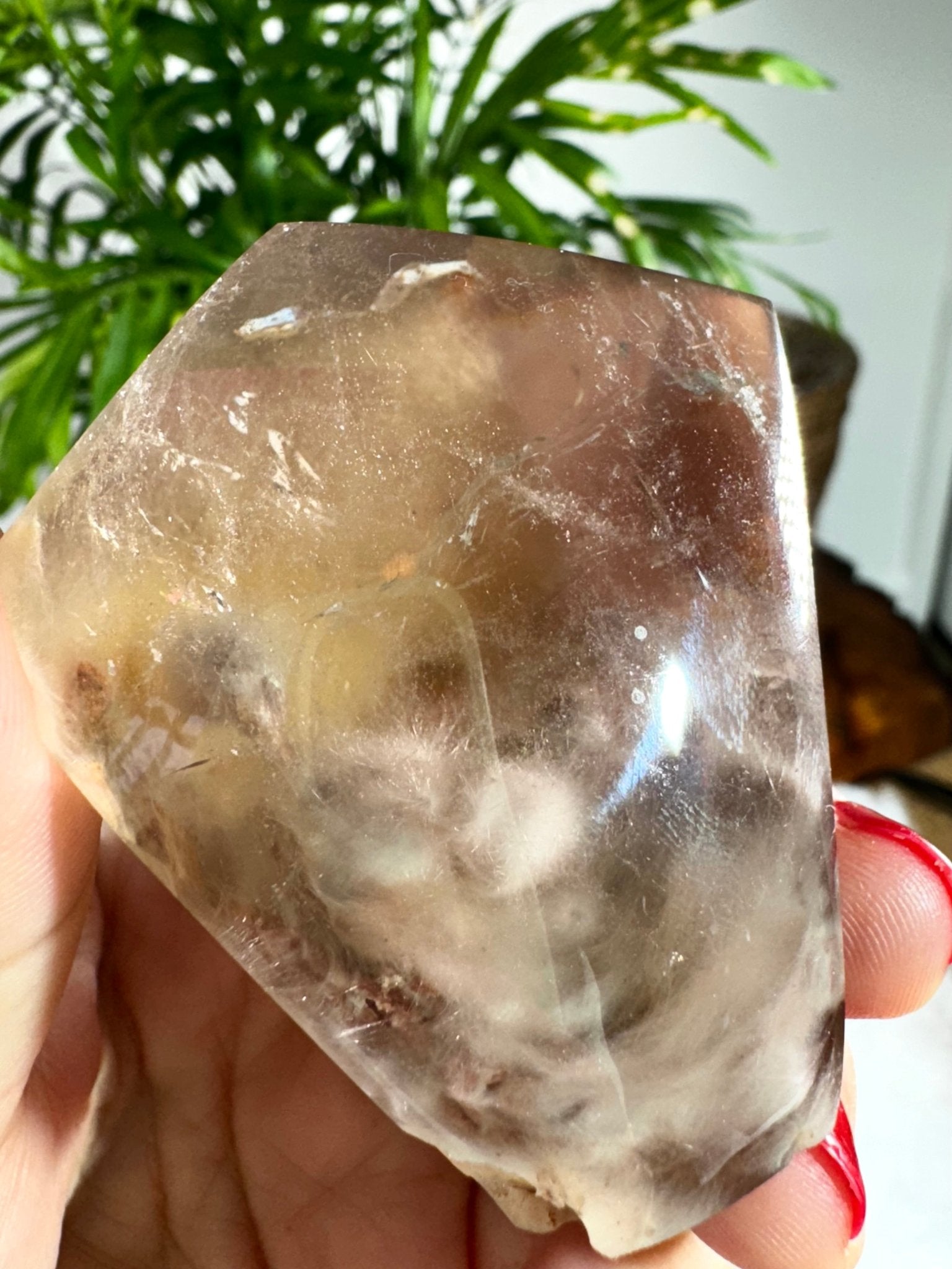 Hematoide Lens with "Cloud' inclusions | 100g - The Crystal Valley