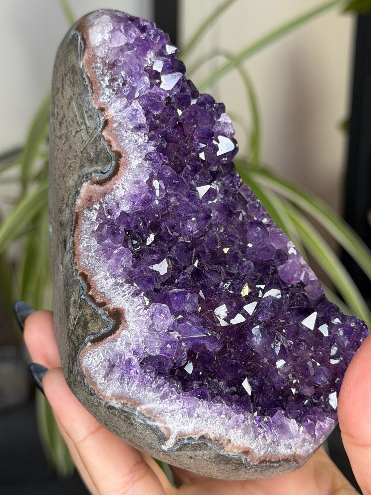 High Quality Amethyst | 704g - The Crystal Valley