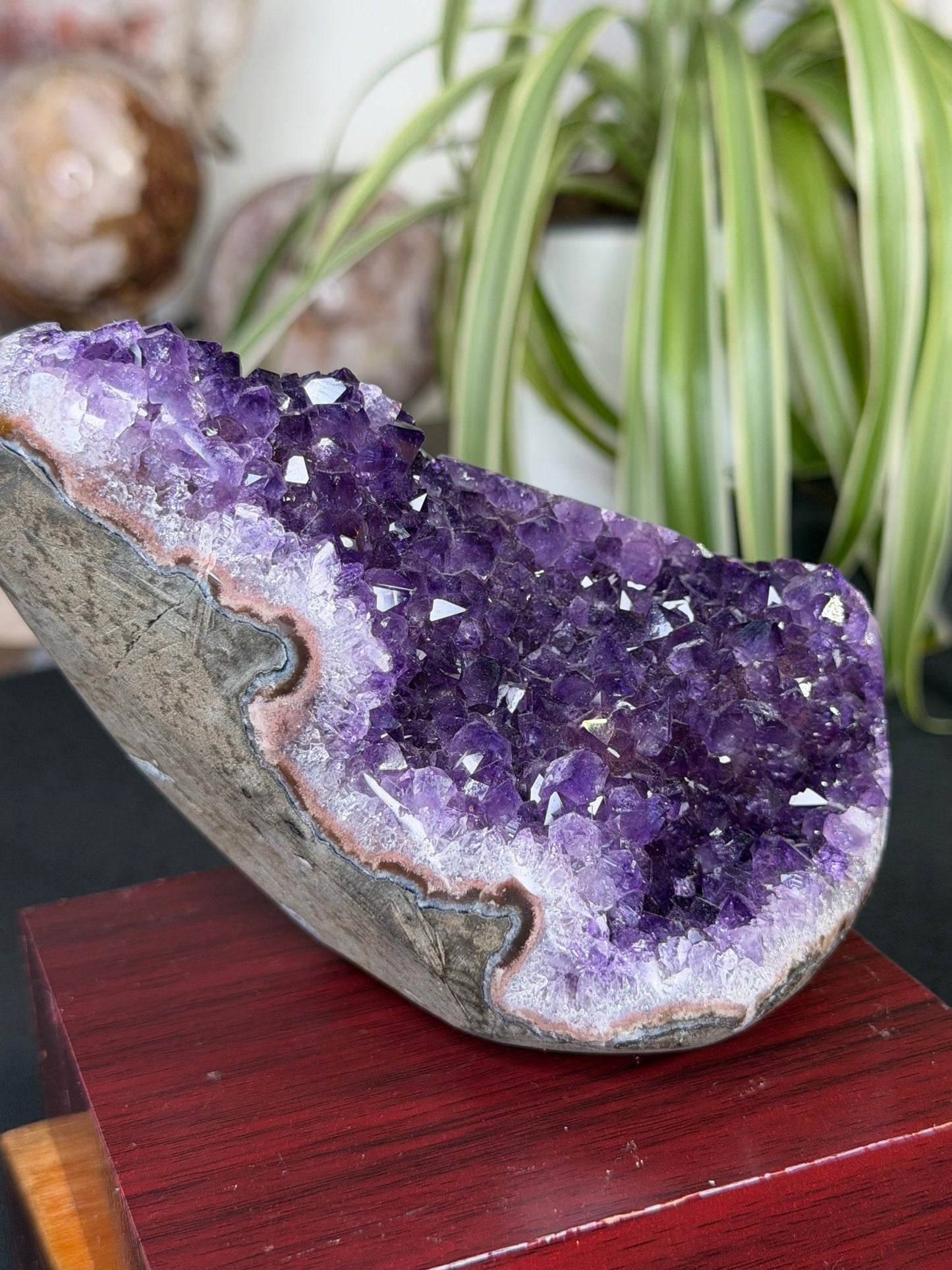 High Quality Amethyst | 704g - The Crystal Valley