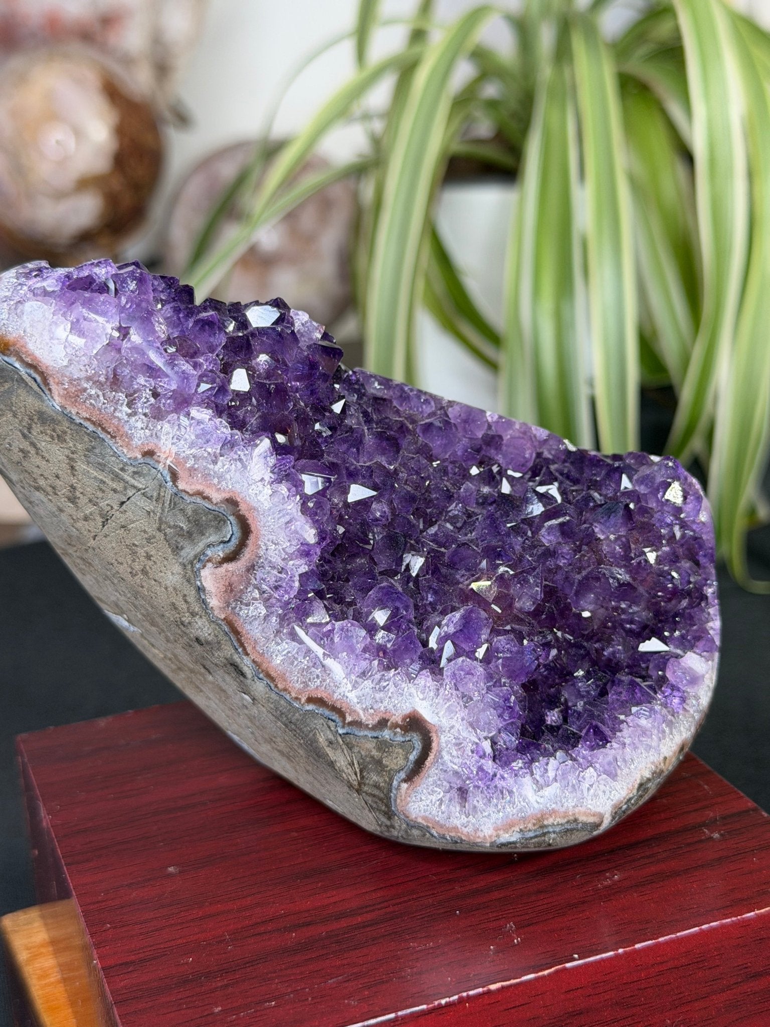 High Quality Amethyst | 704g - The Crystal Valley
