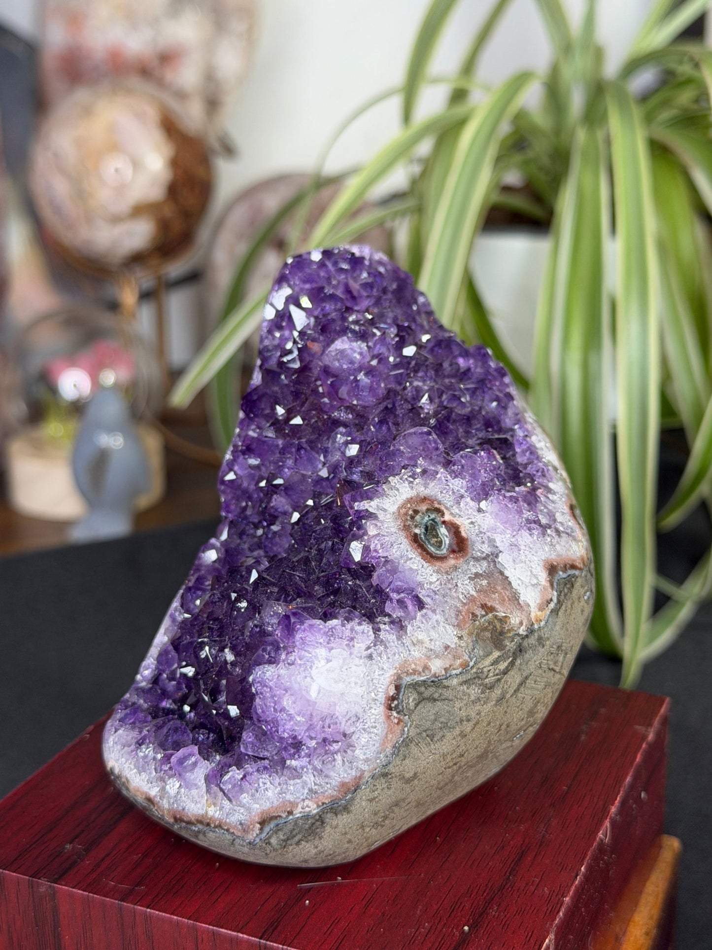 High Quality Amethyst | 704g - The Crystal Valley