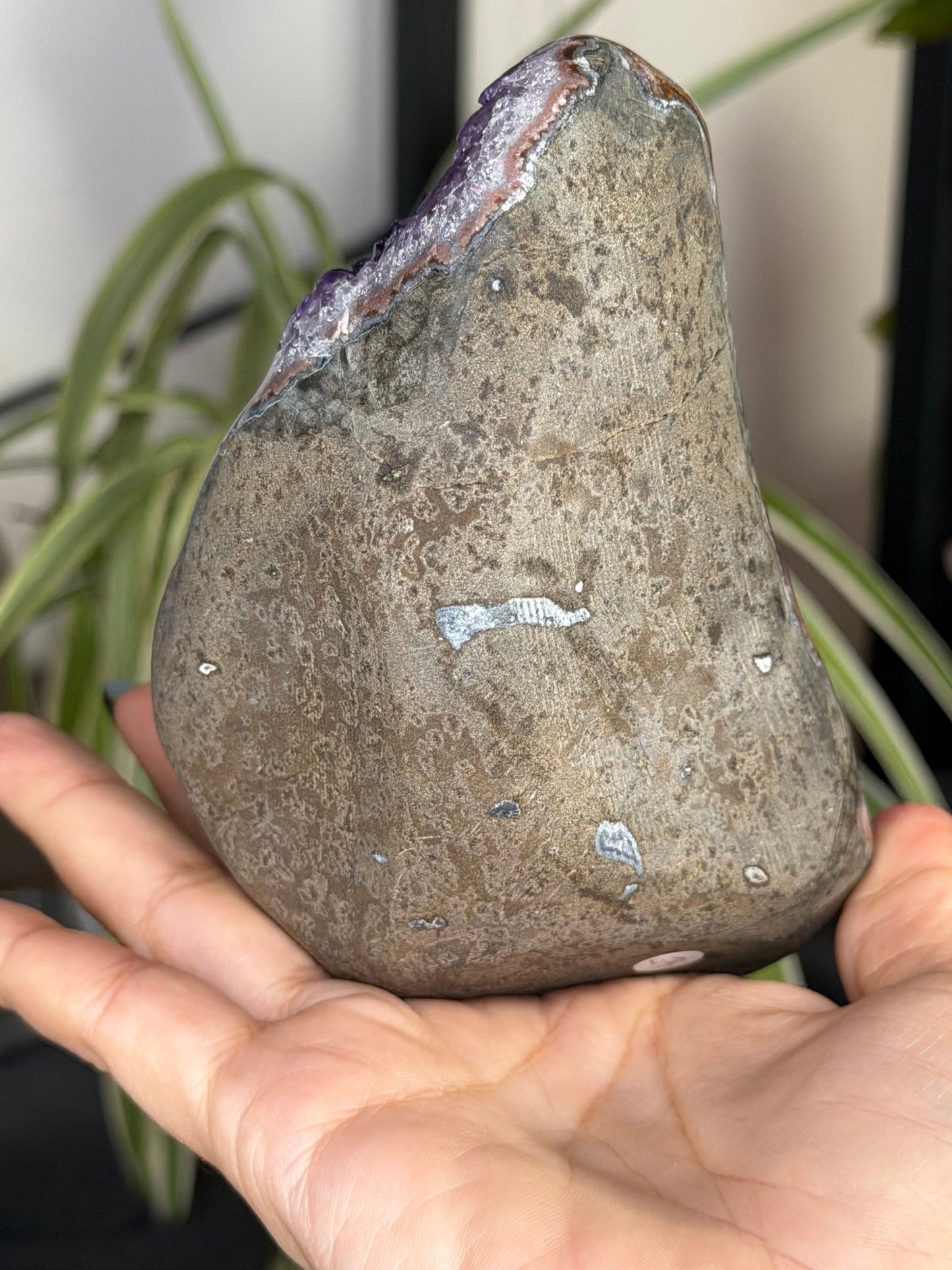 High Quality Amethyst | 704g - The Crystal Valley