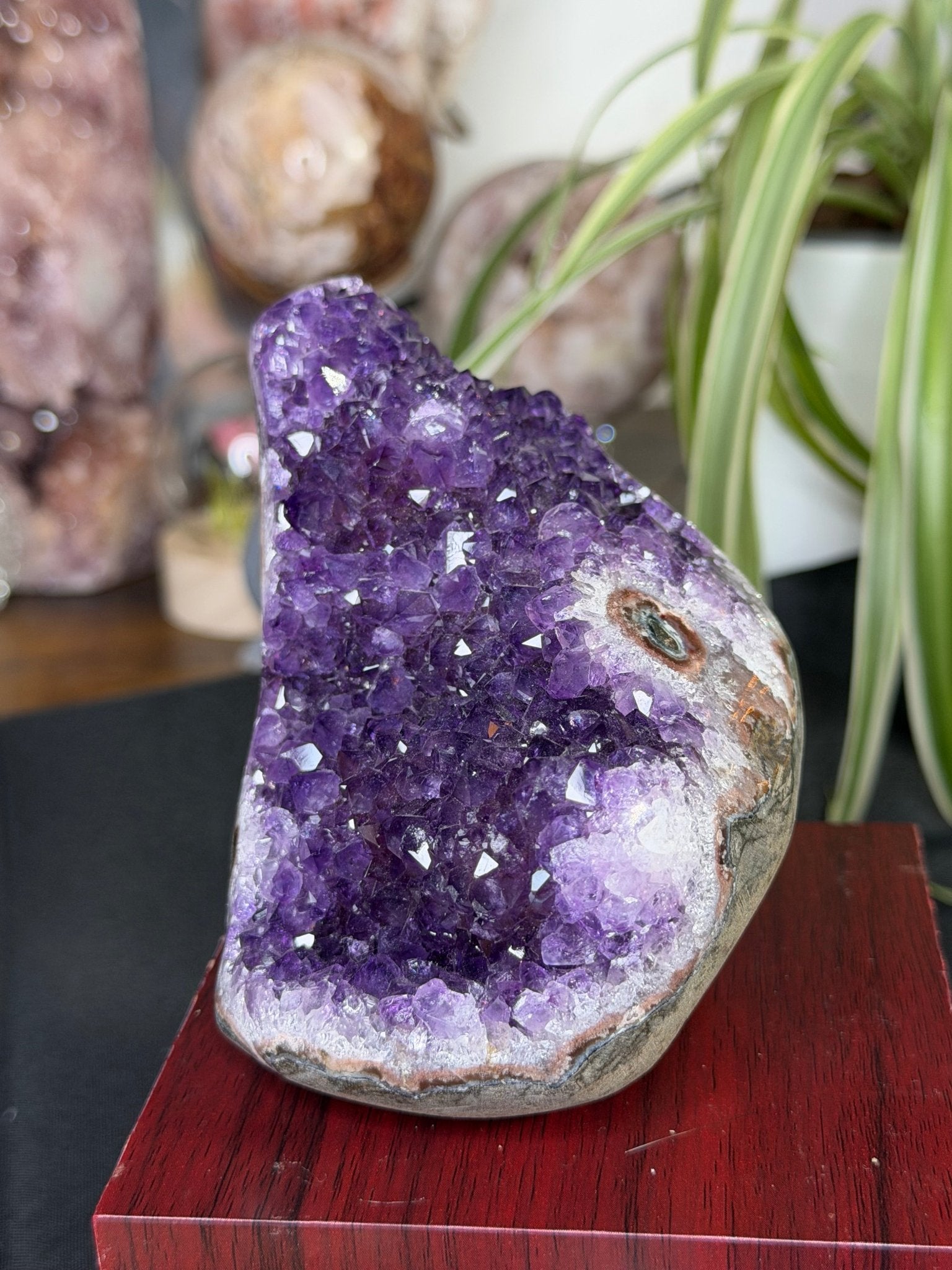 High Quality Amethyst | 704g - The Crystal Valley