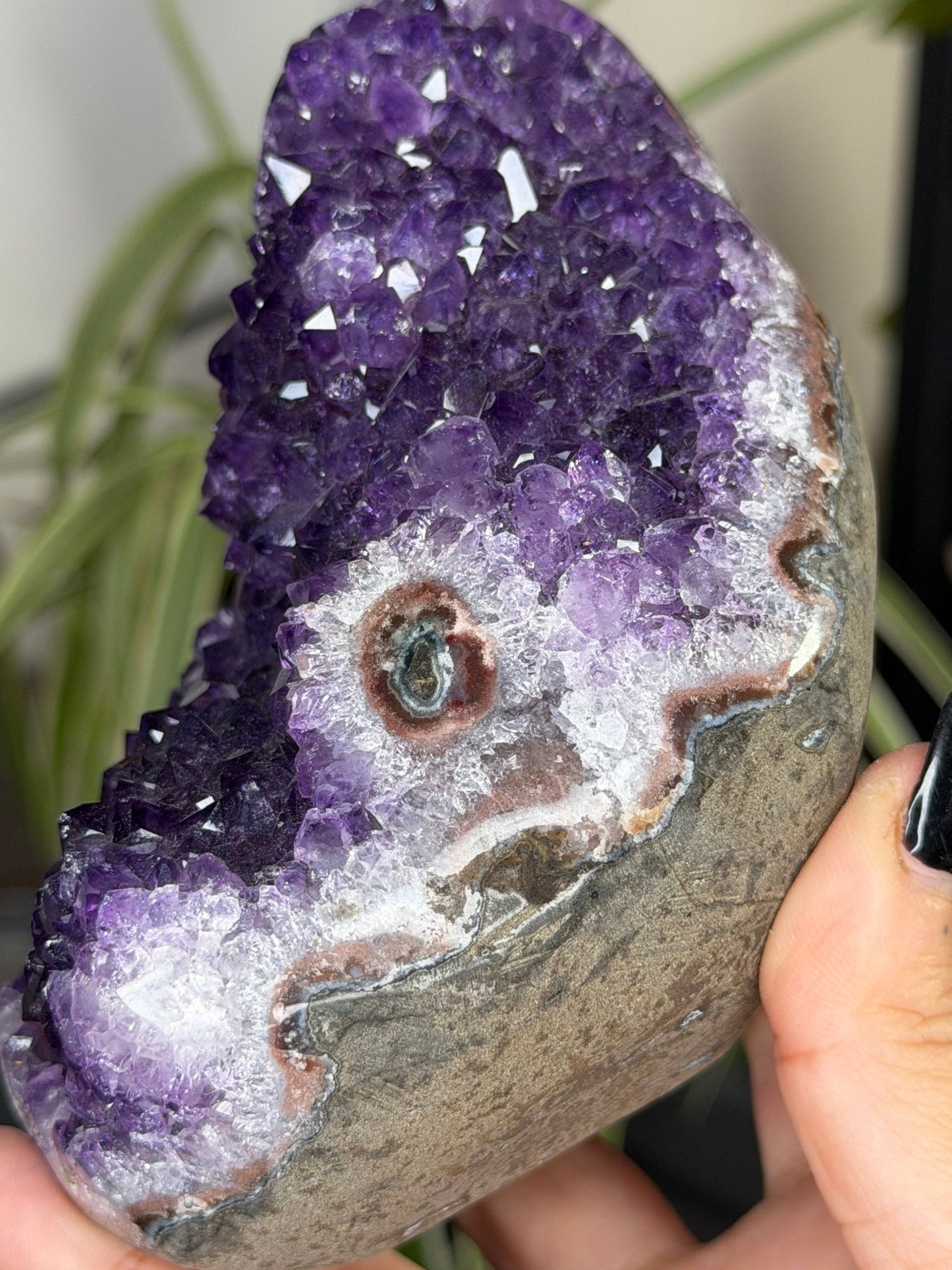 High Quality Amethyst | 704g - The Crystal Valley