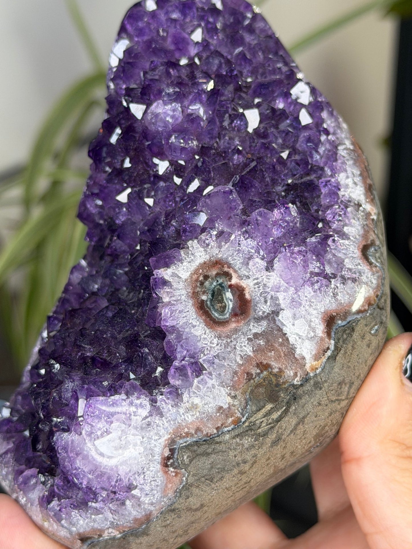 High Quality Amethyst | 704g - The Crystal Valley