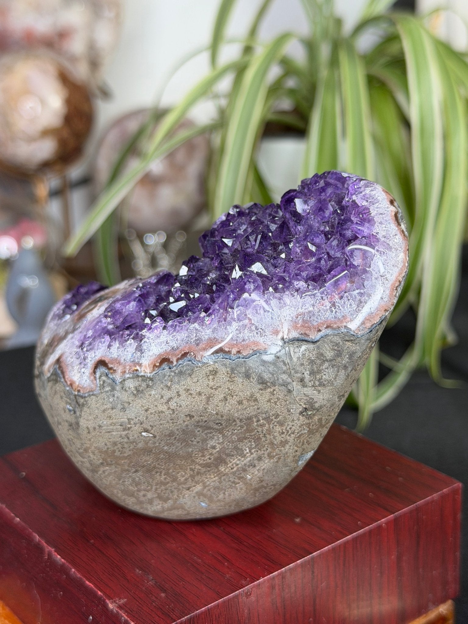 High Quality Amethyst | 704g - The Crystal Valley