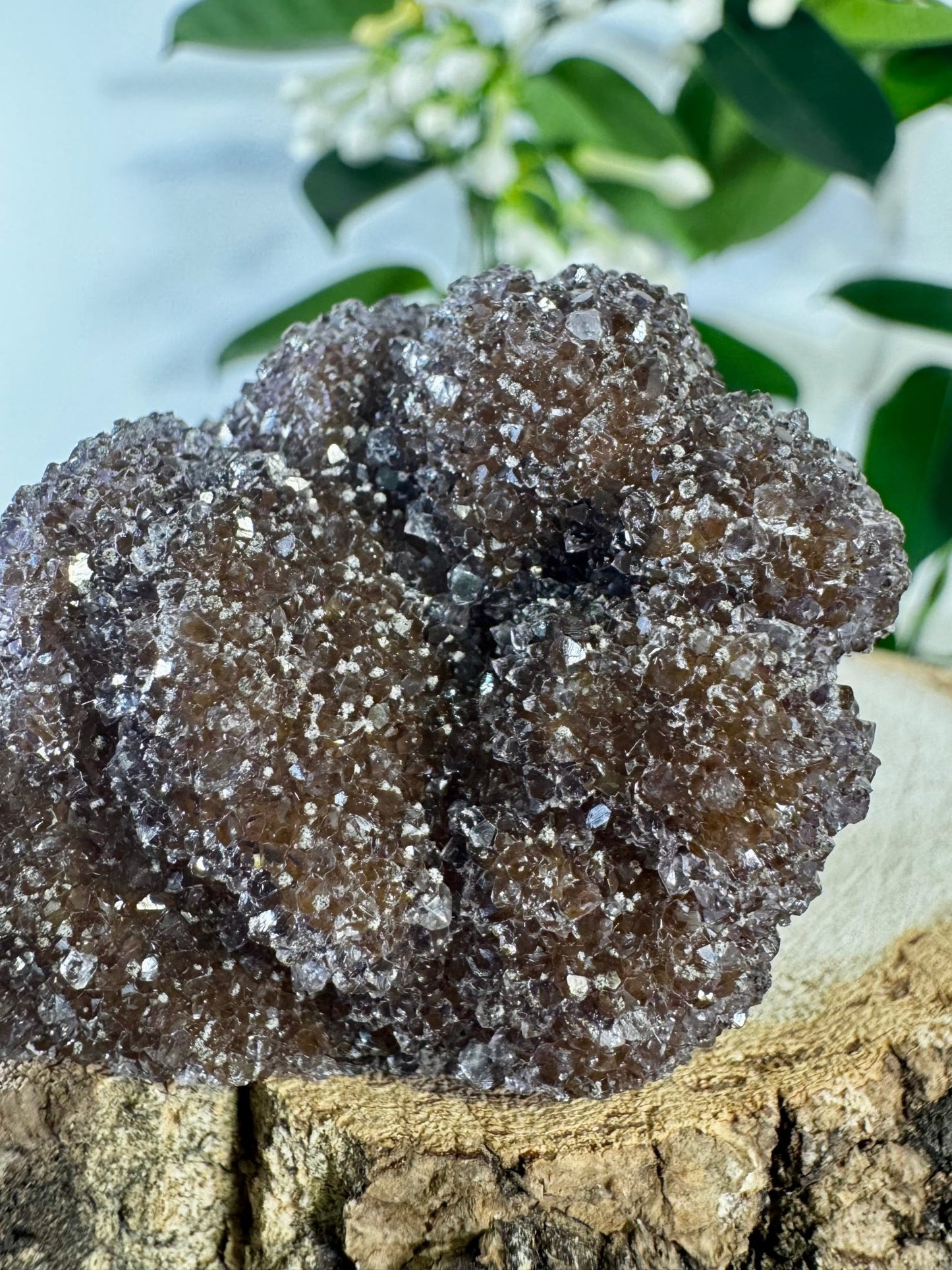 High Quality Amethyst Cluster with Hematite | 102g - The Crystal Valley