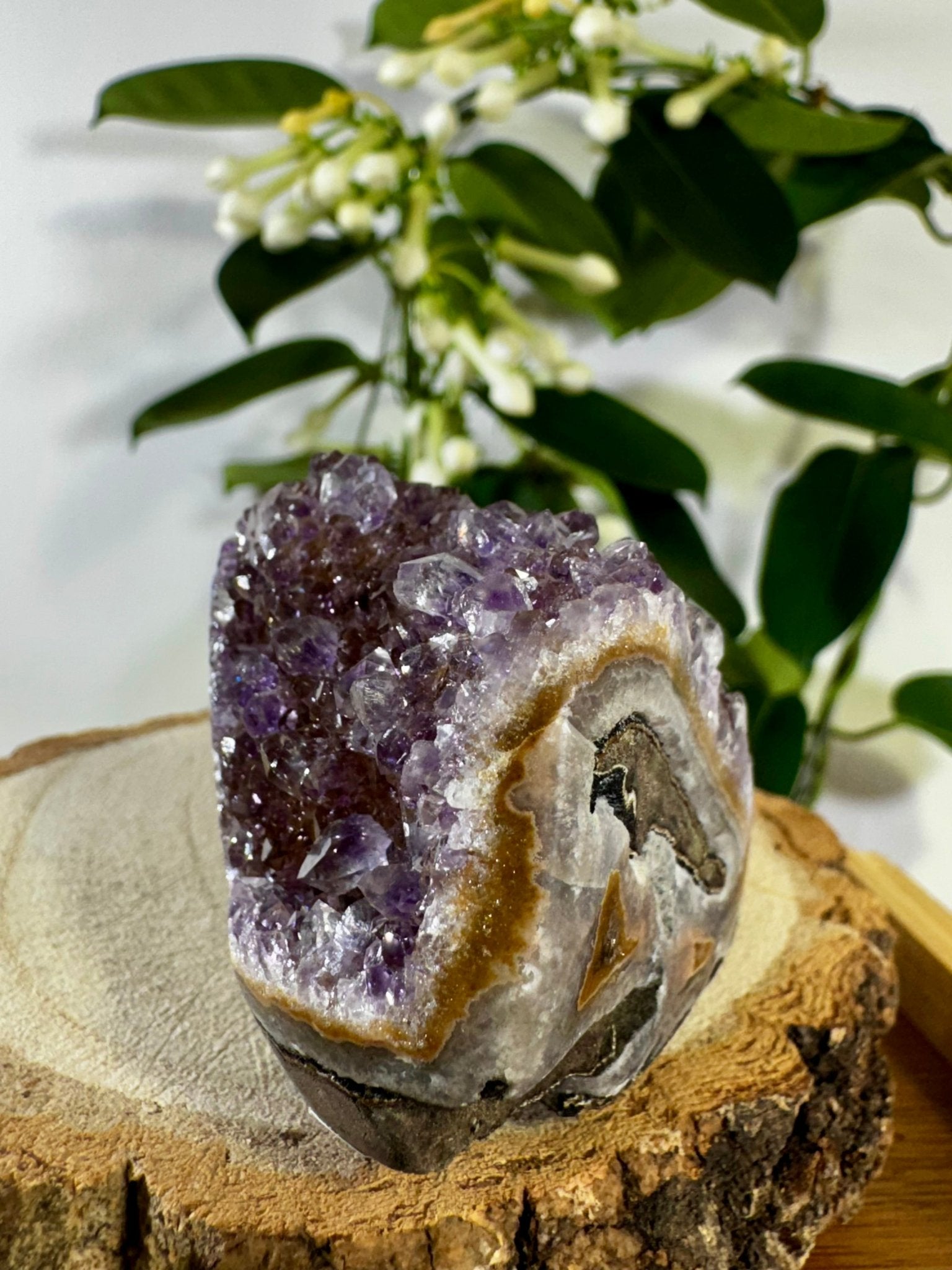 High Quality Amethyst Shoe | 218g - The Crystal Valley